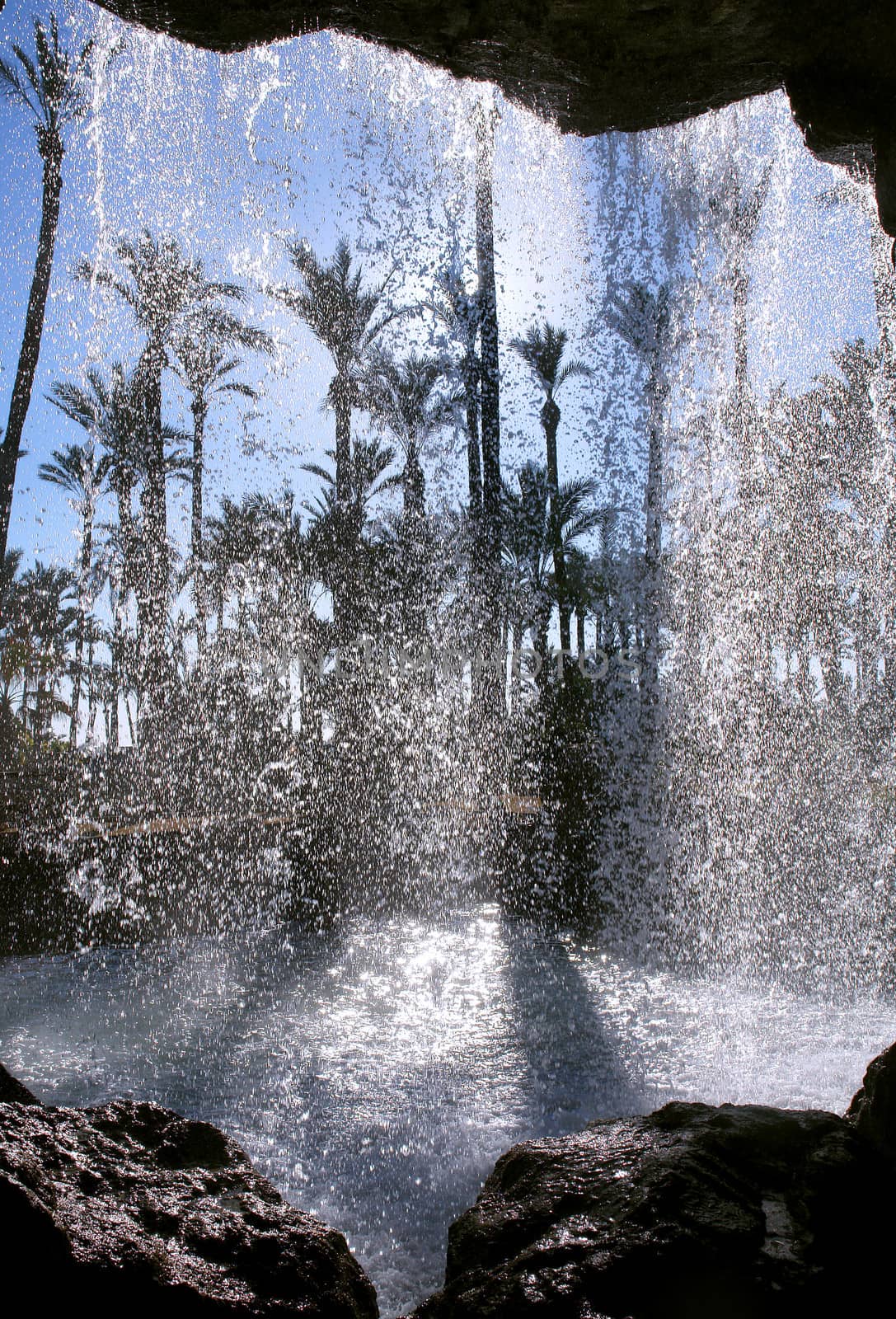 behind the cascade, palm garden park in Alicante, Spain.                                