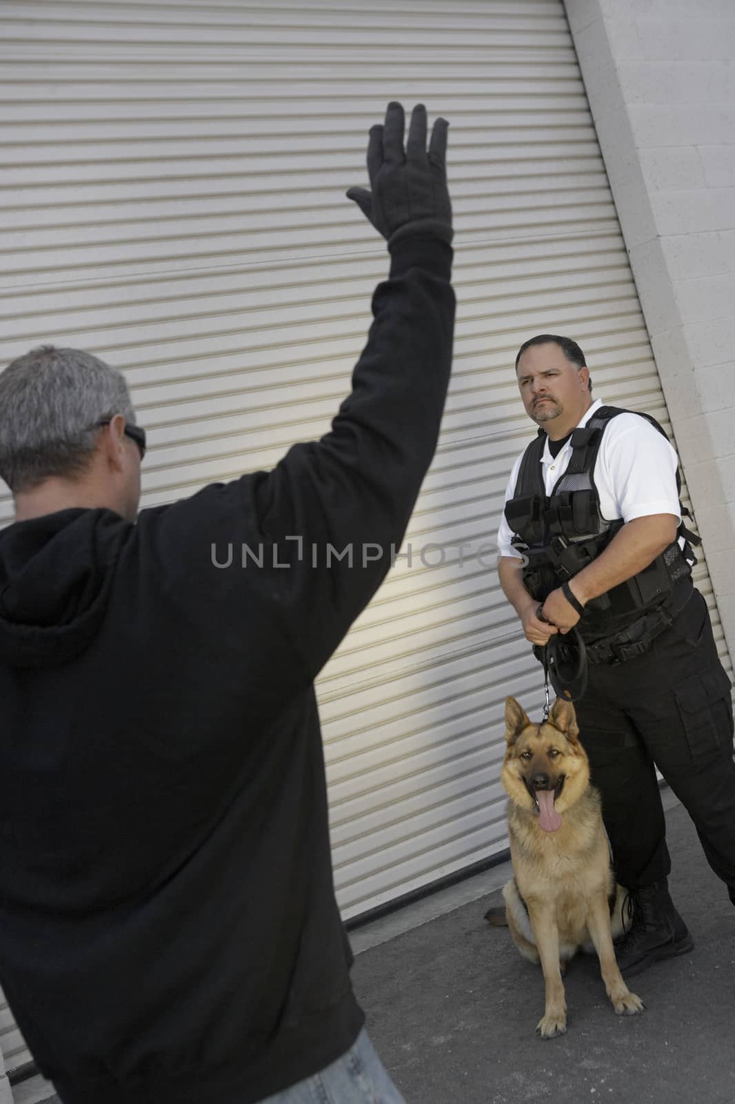 Security guard with dog looking at caught thief by moodboard