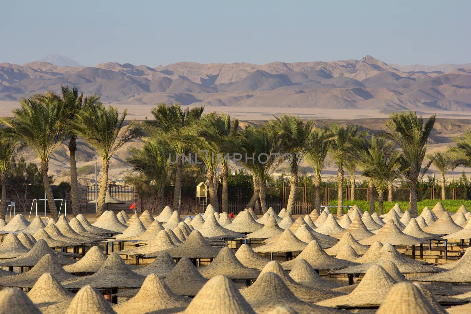 Mountains in a desert with beach and parasols in the foreground 