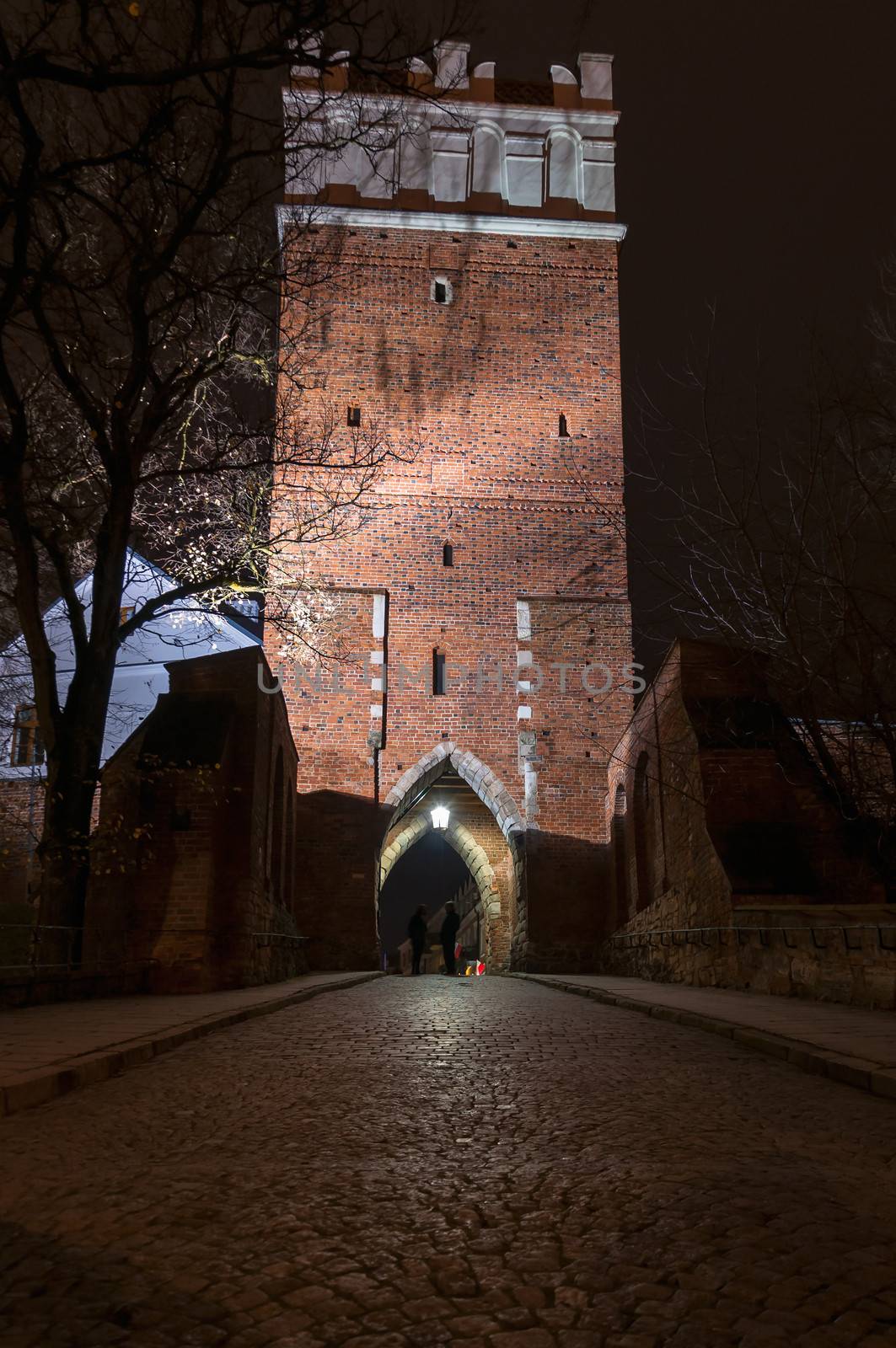 Opatowska gate by night by mkos83