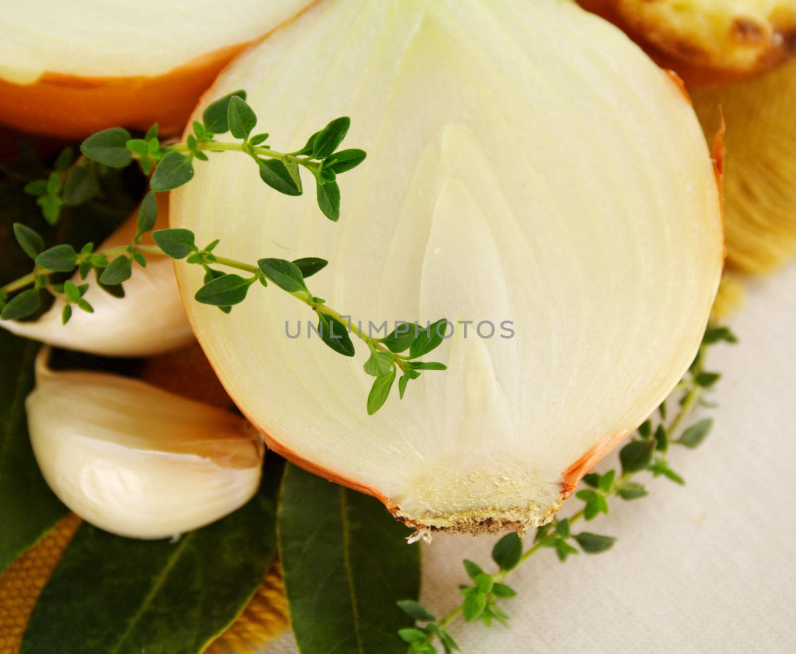 Fresh thyme with a sliced white onion.
