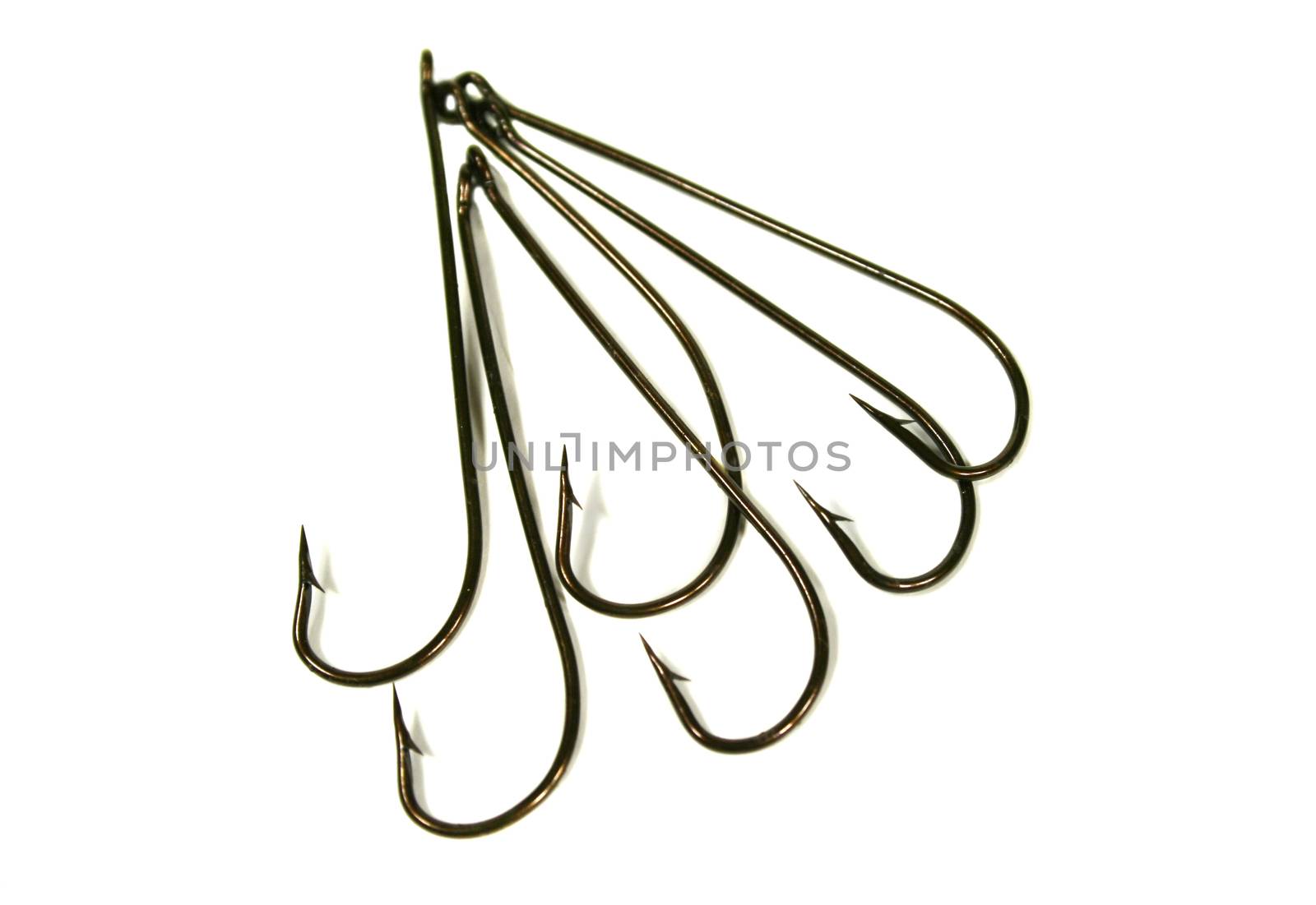 Arrangement of long shanked fish hooks.