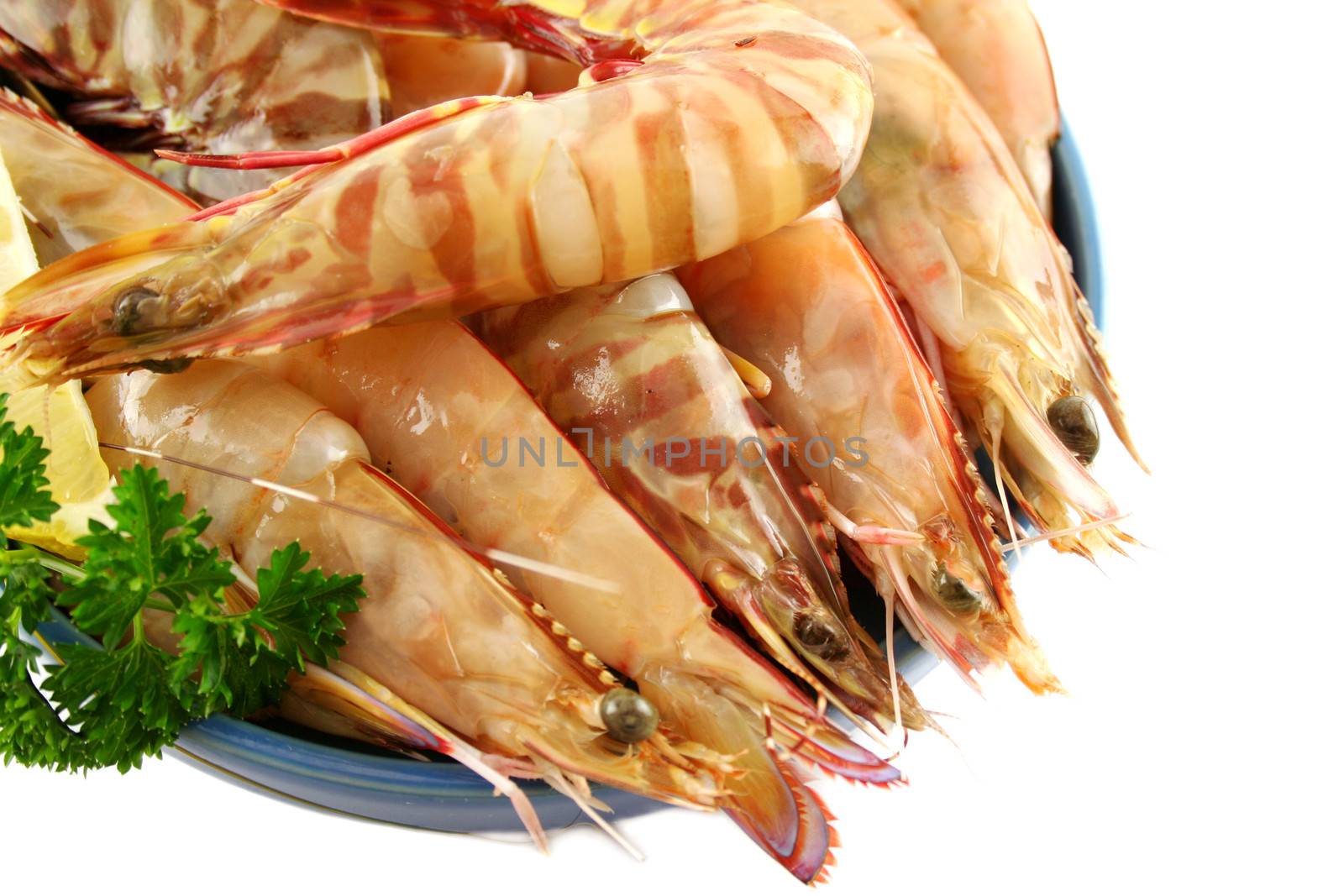 Fresh green shrimps and tiger prawns ready for the kitchen.