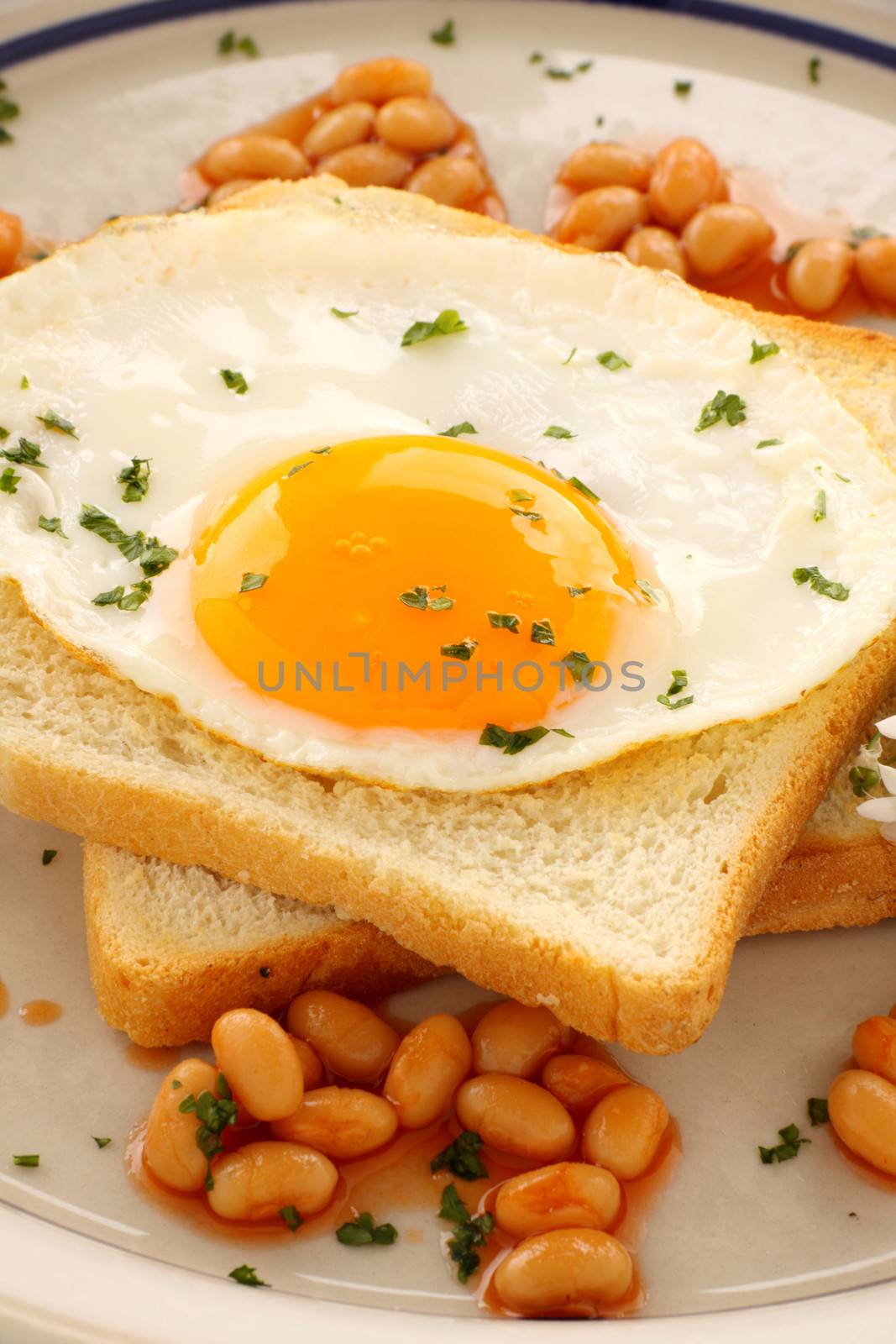 Fried egg on toast parsley garnish and baked beans.