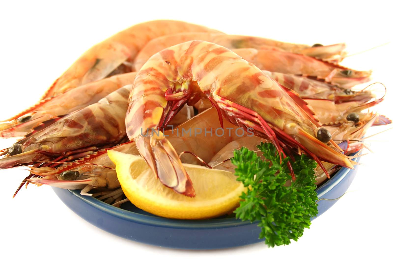 Fresh green shrimps and tiger prawns ready for the kitchen.