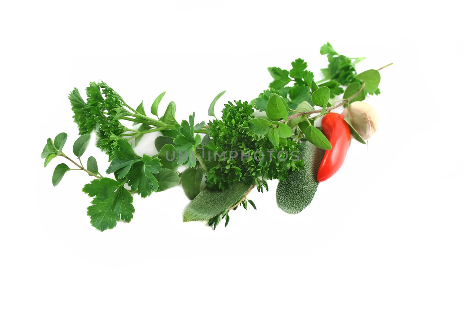 Garland of fresh herbs straight from the herb garden.