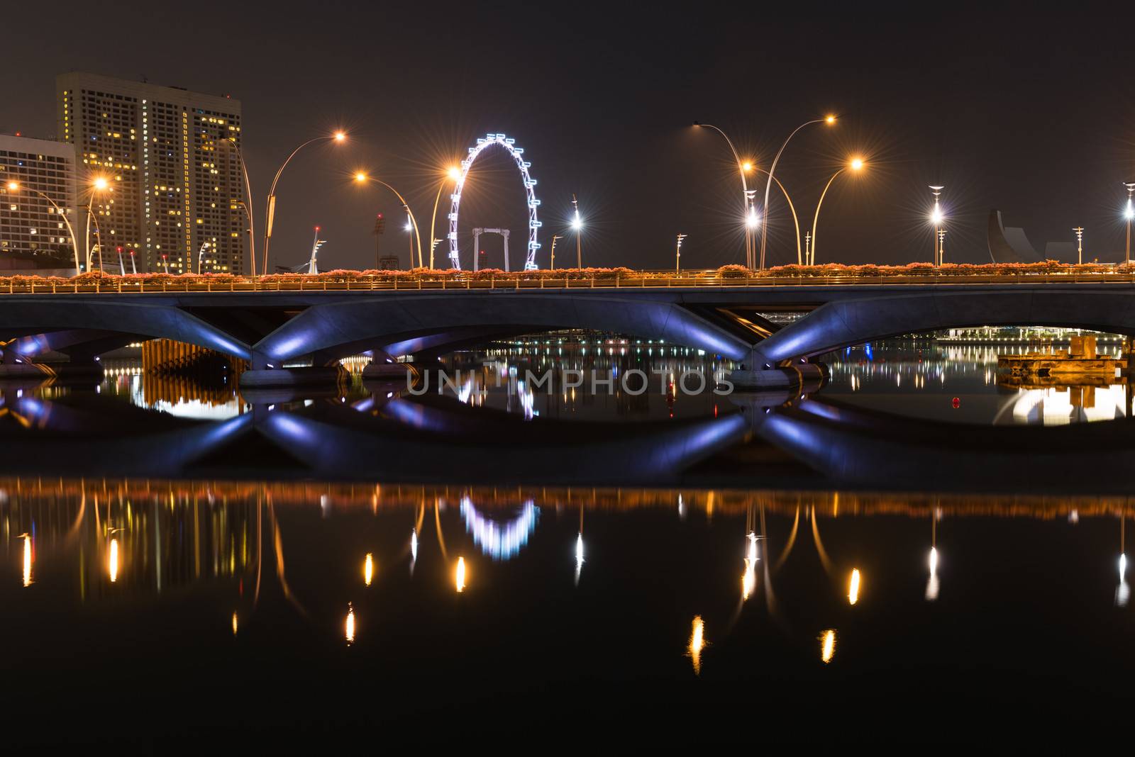 Esplanade bridge, theater and Singapore Flyer at night by iryna_rasko