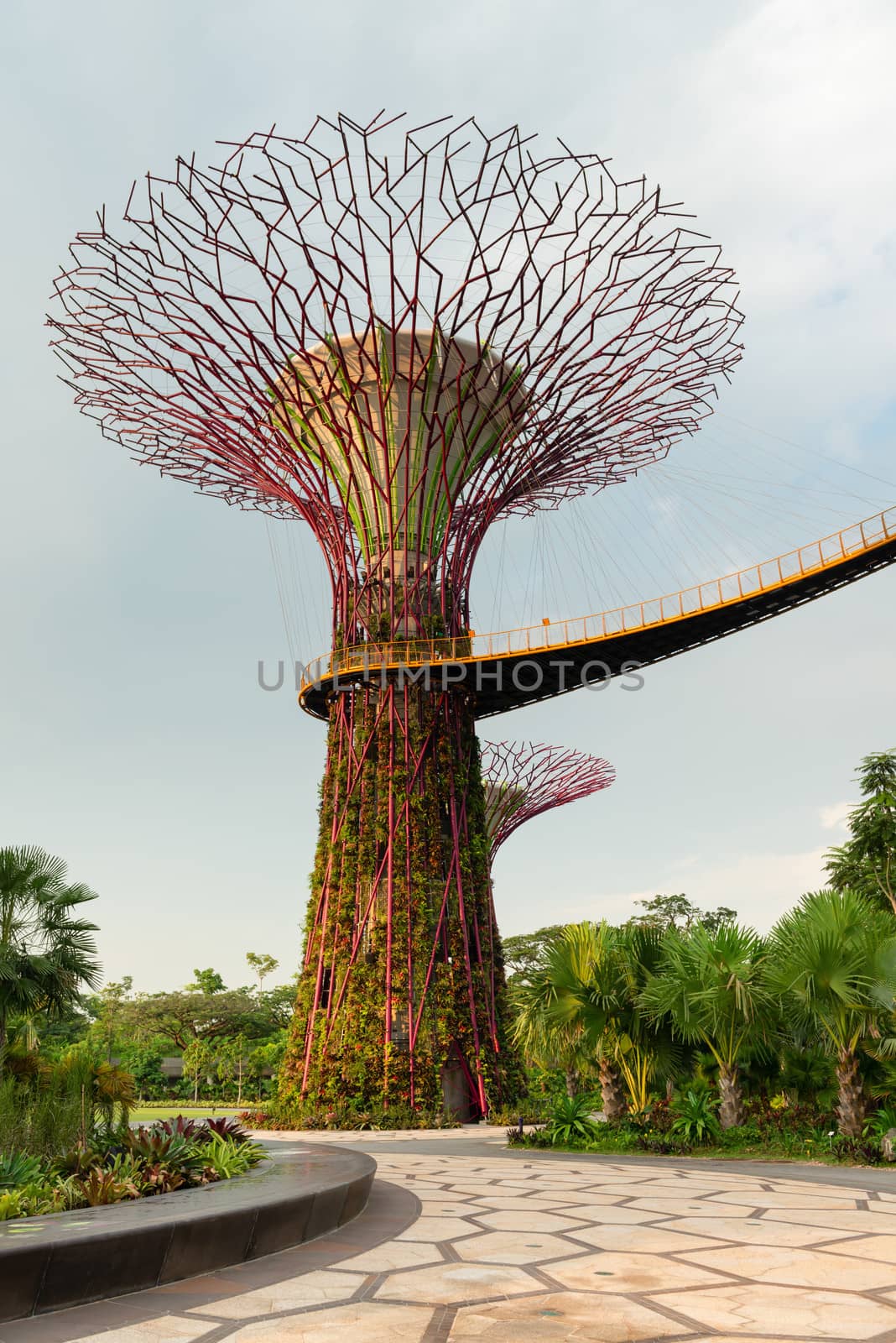 The artificial supertree as a vertical garden at Gardens by the Bay, Singapore. 