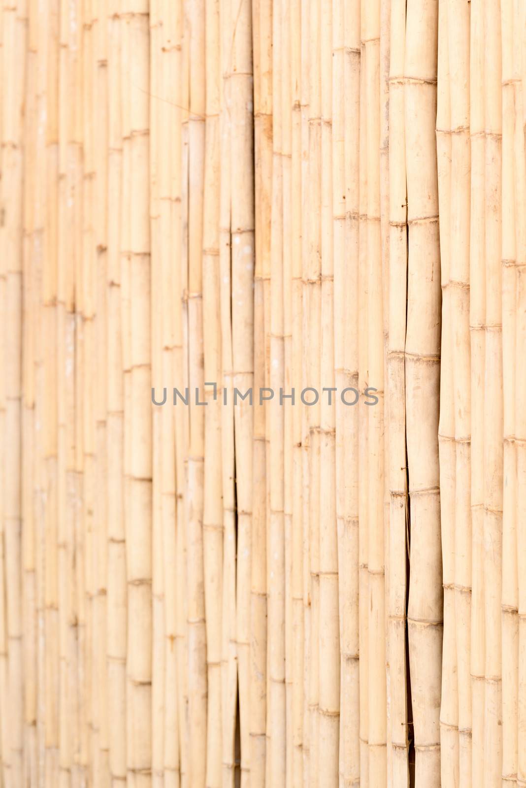 Wooden yellow bamboo fence vertical textured wall background