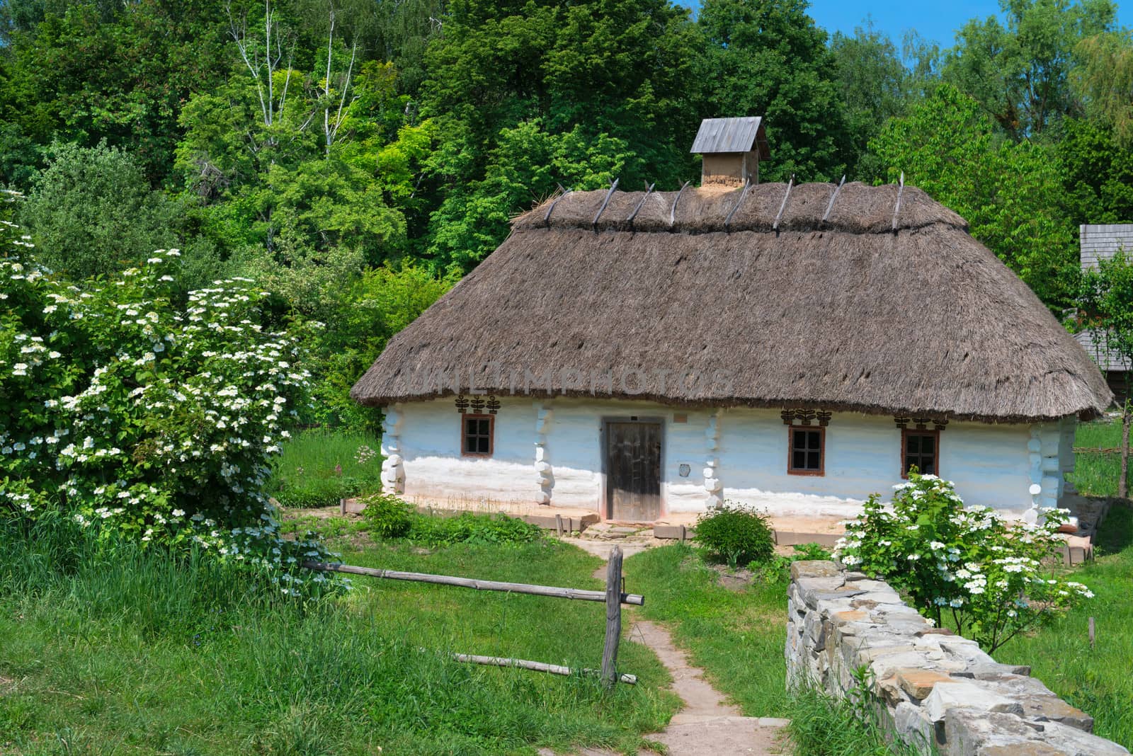 Typical village house in Ukrainian countryside with gardens around