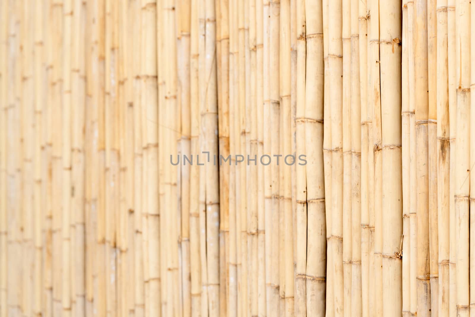 Wooden yellow bamboo fence horizontal textured wall background