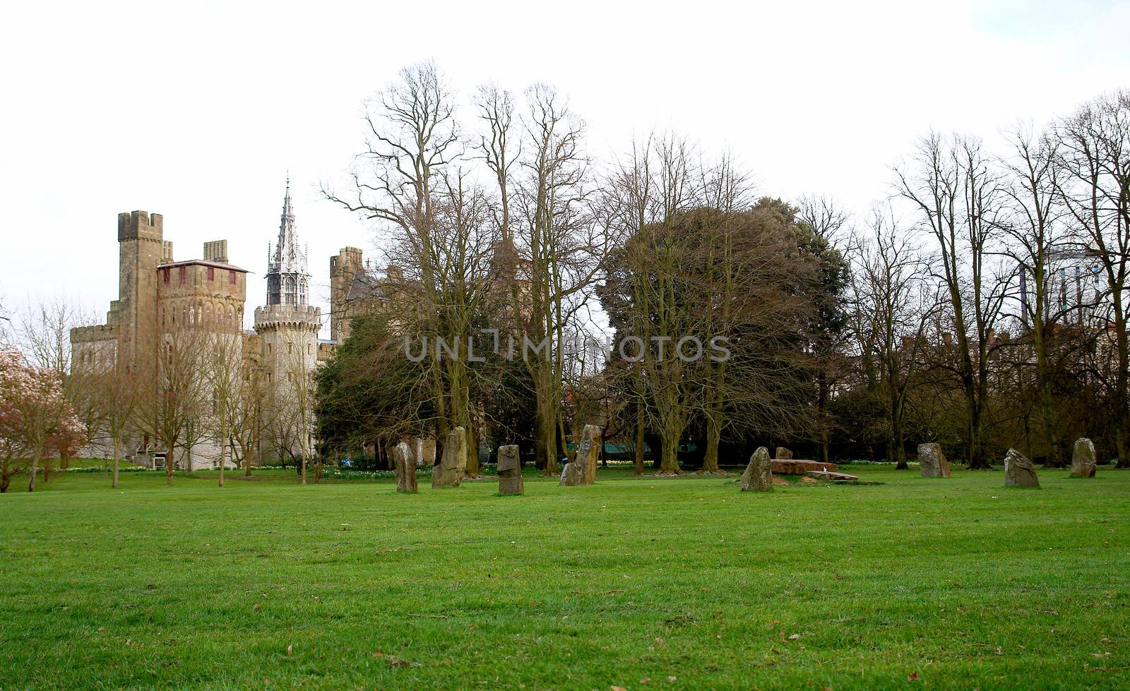  Bute park whit castle in the background, Cardiff, Wales. UK.