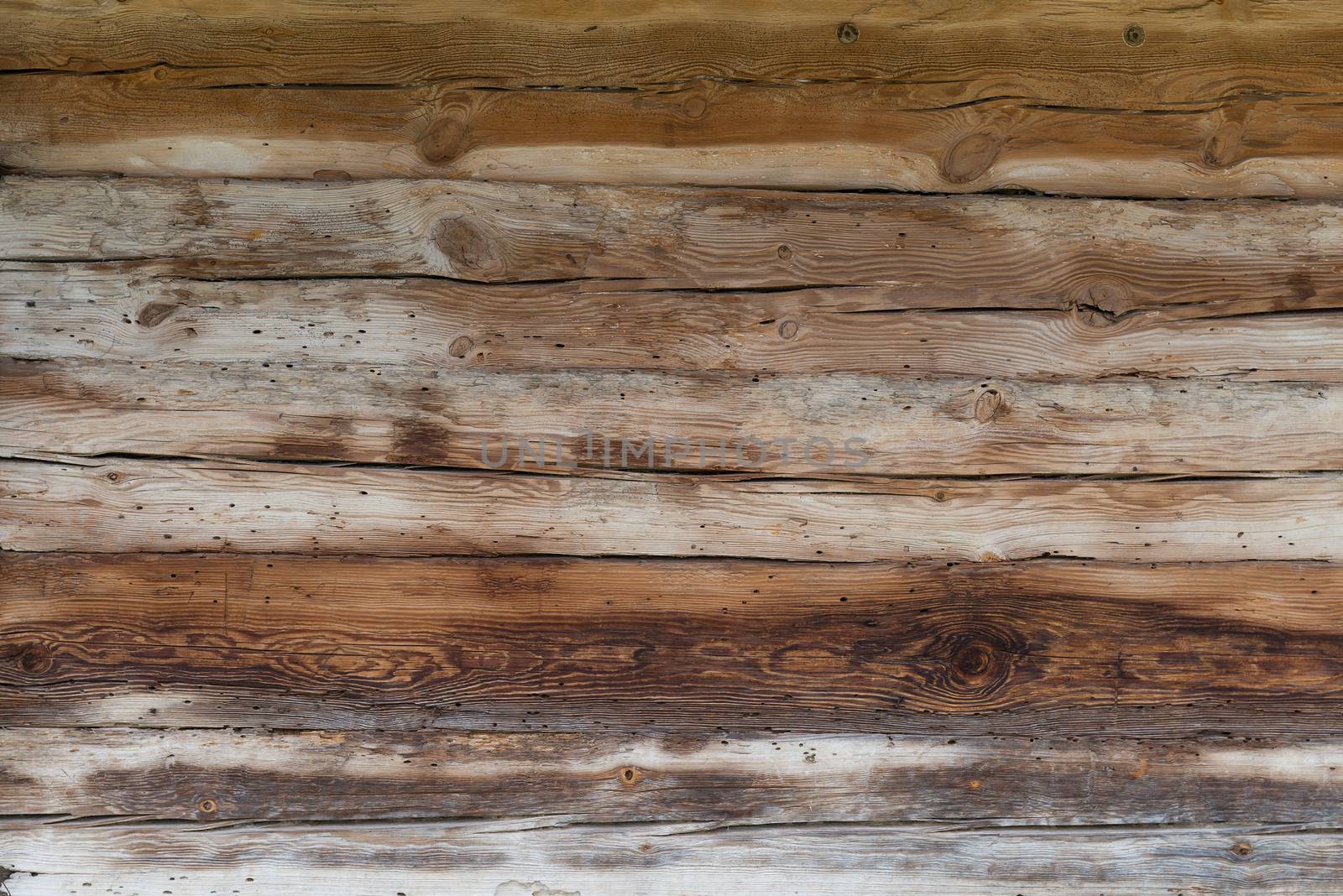 Old wooden insect-eaten boards background