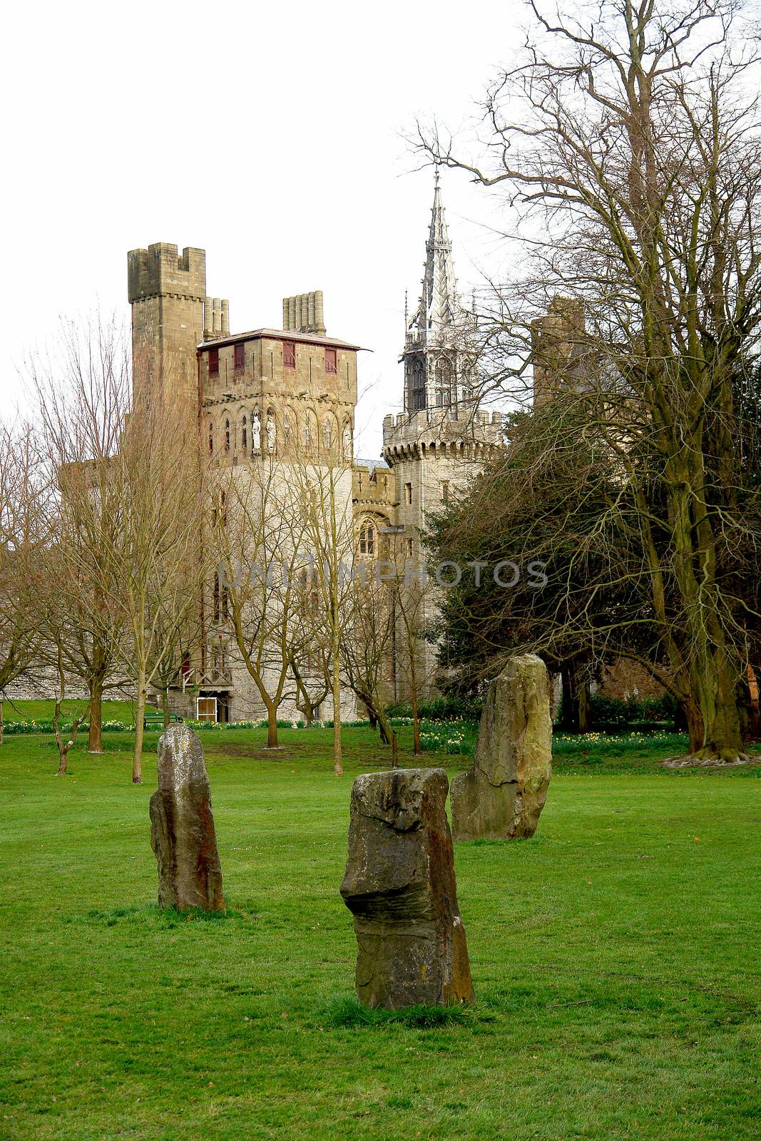 Bute park whit castle in the background, Cardiff, Wales. UK. by ptxgarfield