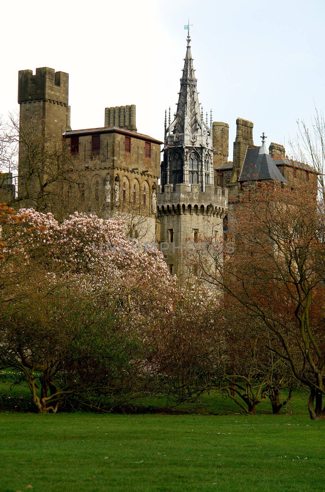 Bute park whit castle in the background, Cardiff, Wales. by ptxgarfield