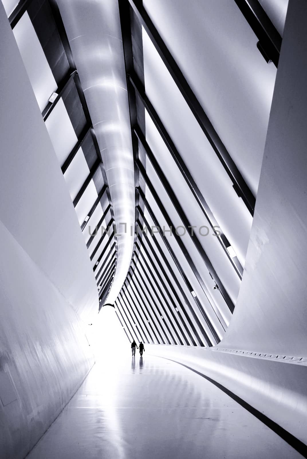 Expo Zaragoza footpath bridge pavilion perspective