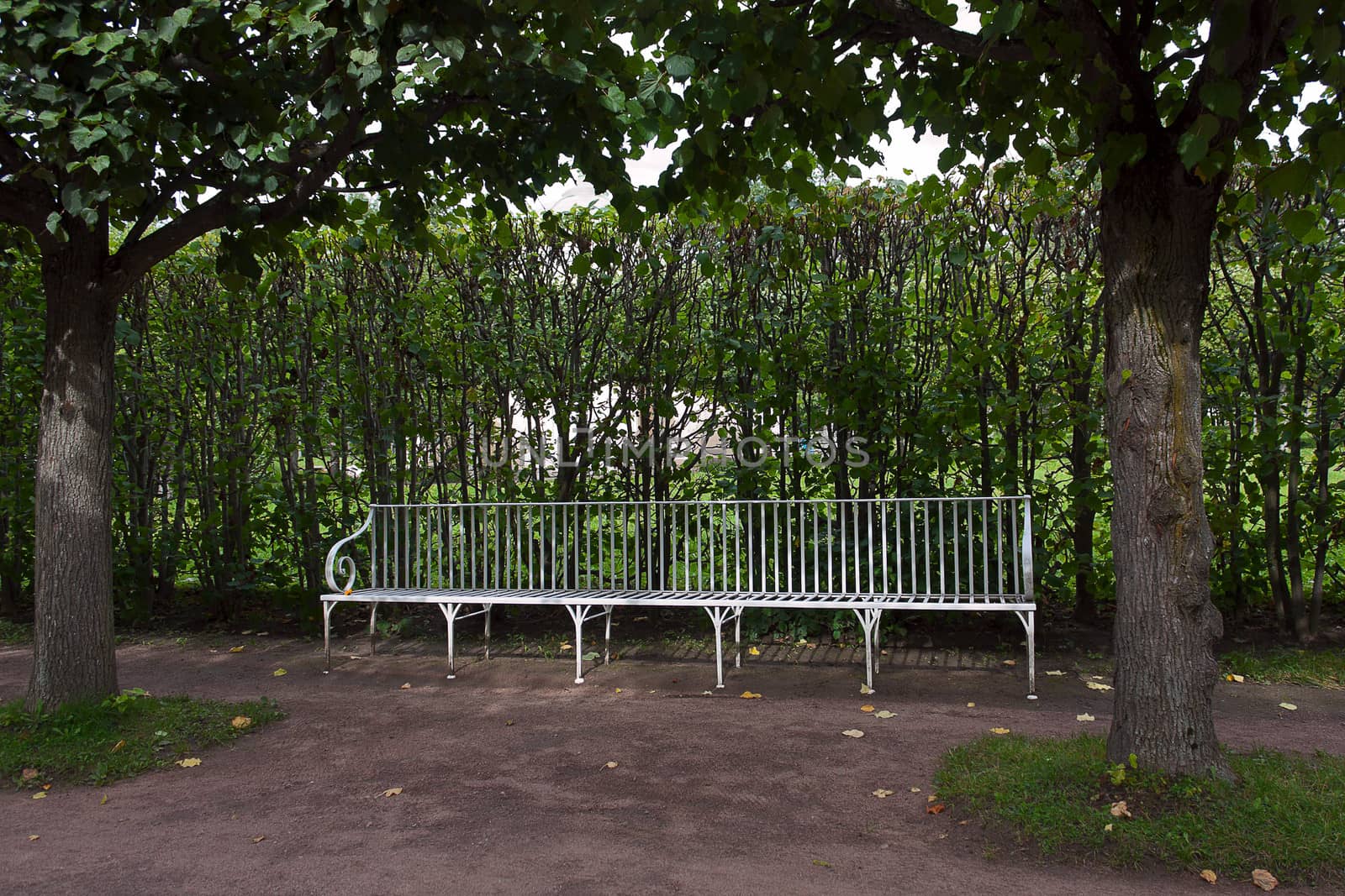 White benches among  trees, Catherine Park, Tsarskoye Selo, Russia.