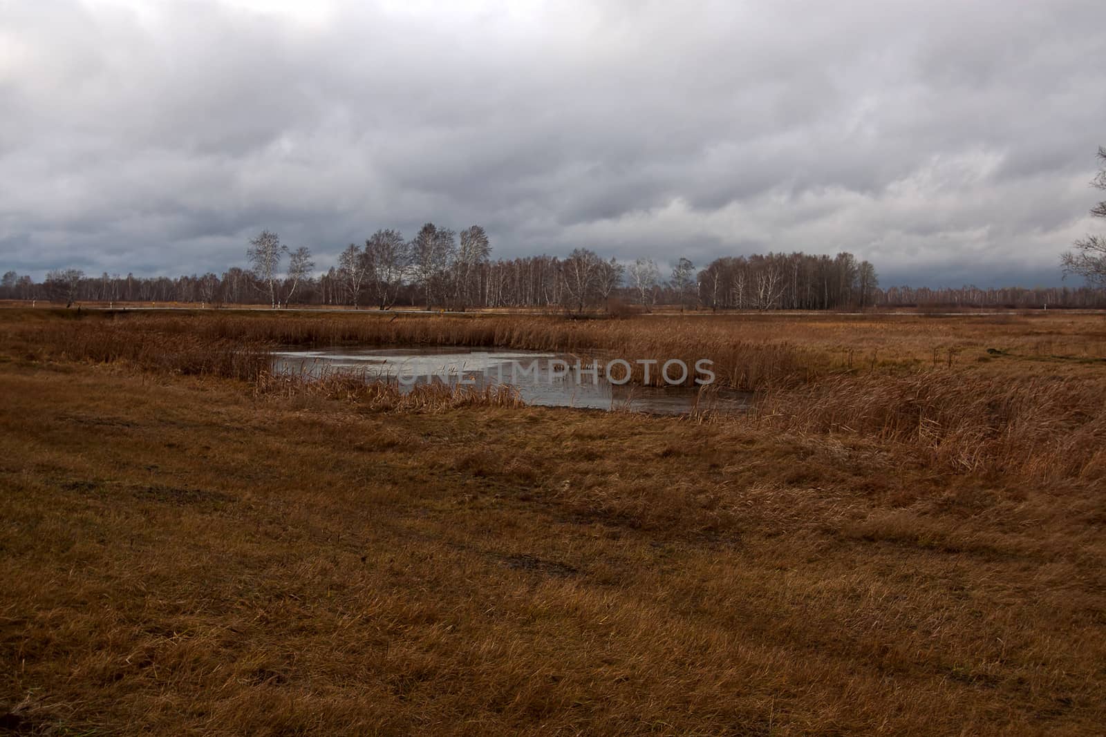 View of autumn landscape in background of cloudy sky, Russia.