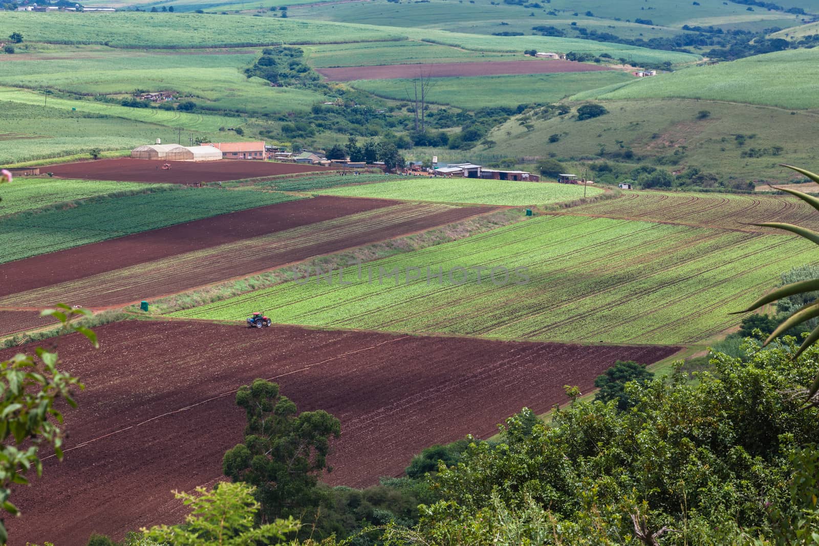 Agriculture Farming Valley by ChrisVanLennepPhoto