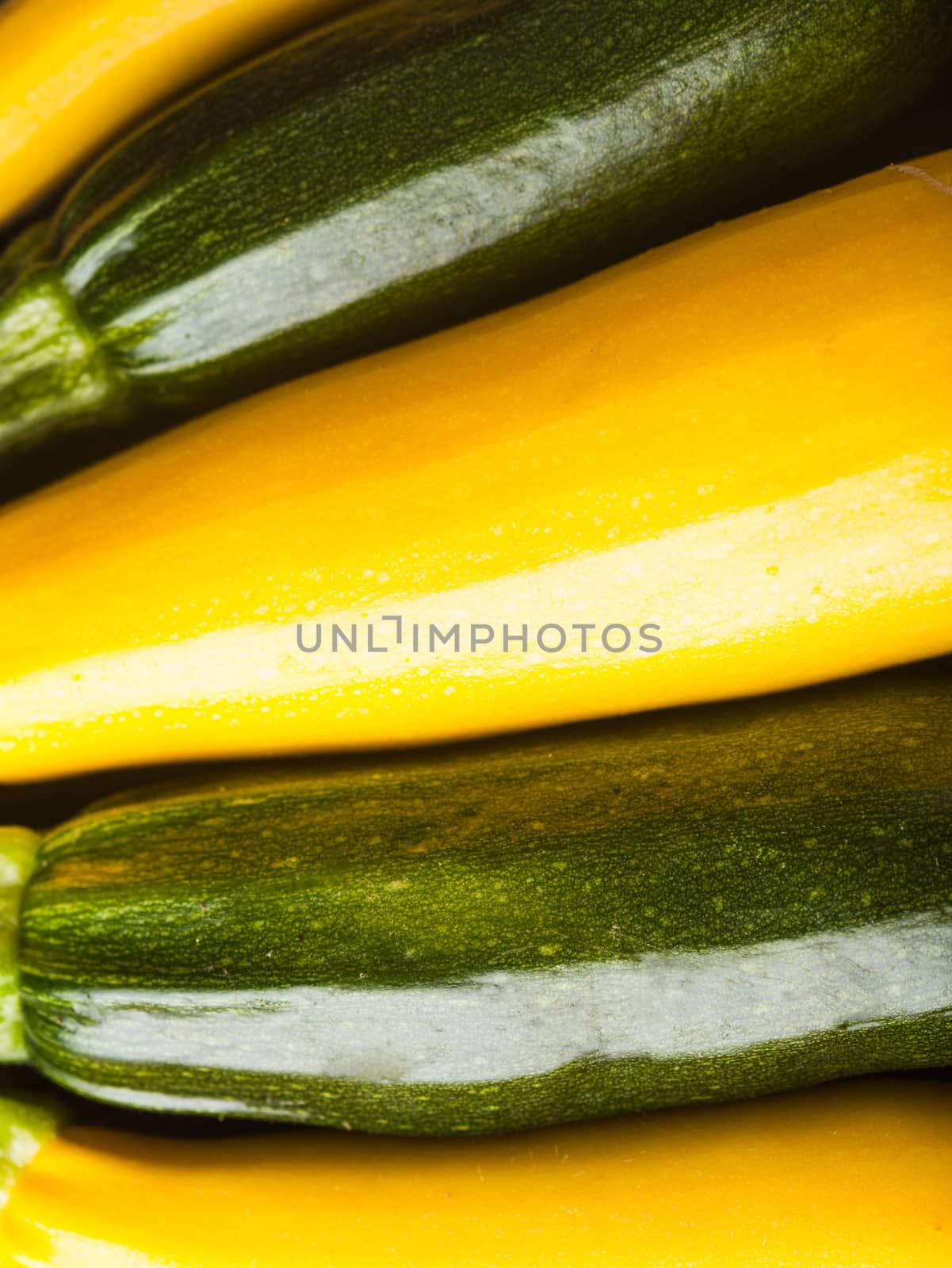 Yellow and green zucchini by oksix