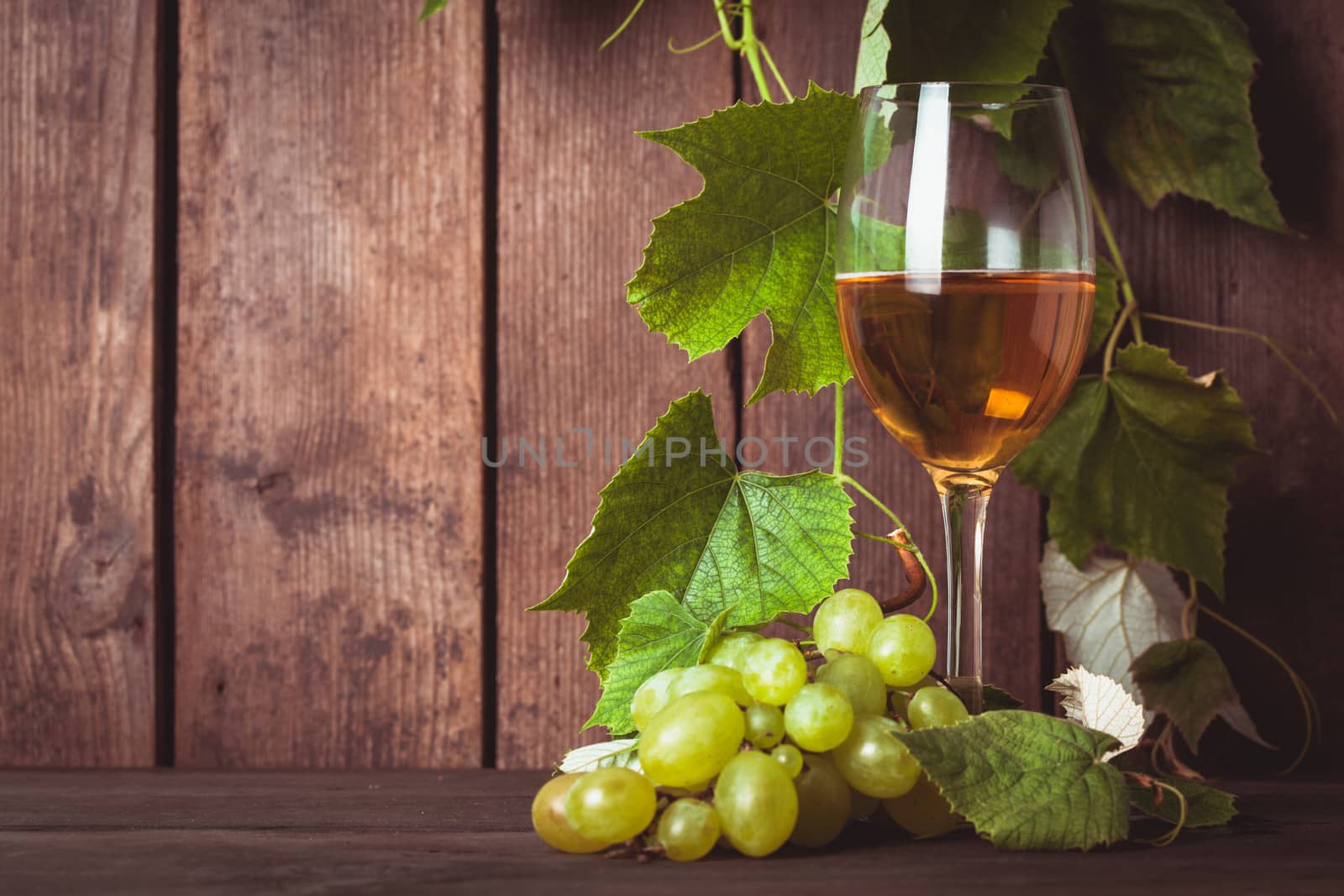 Grapes with leaves by oksix