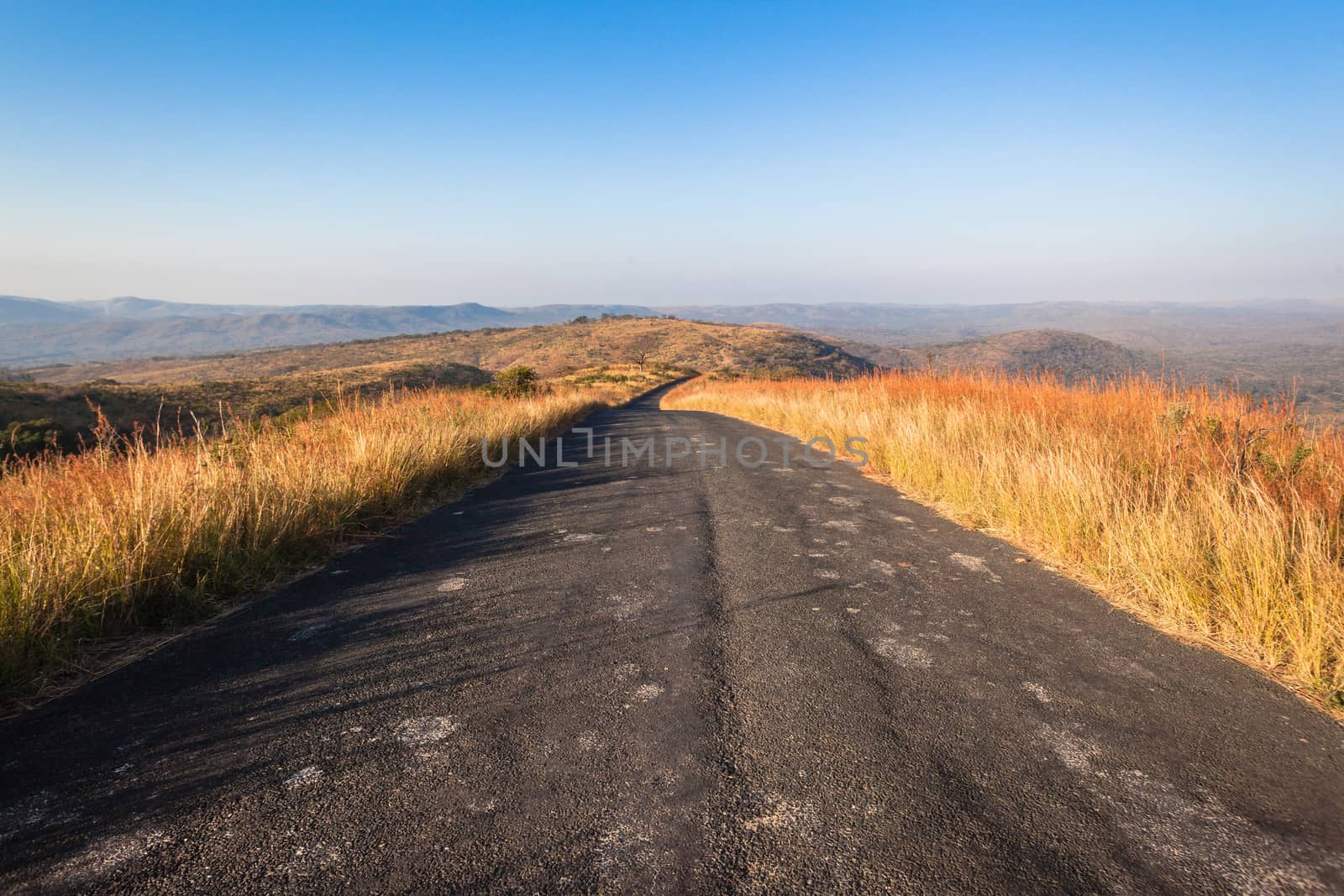 Narrow Tarred road across rugged terrain in thick grass vegetation in wildlife park reserve