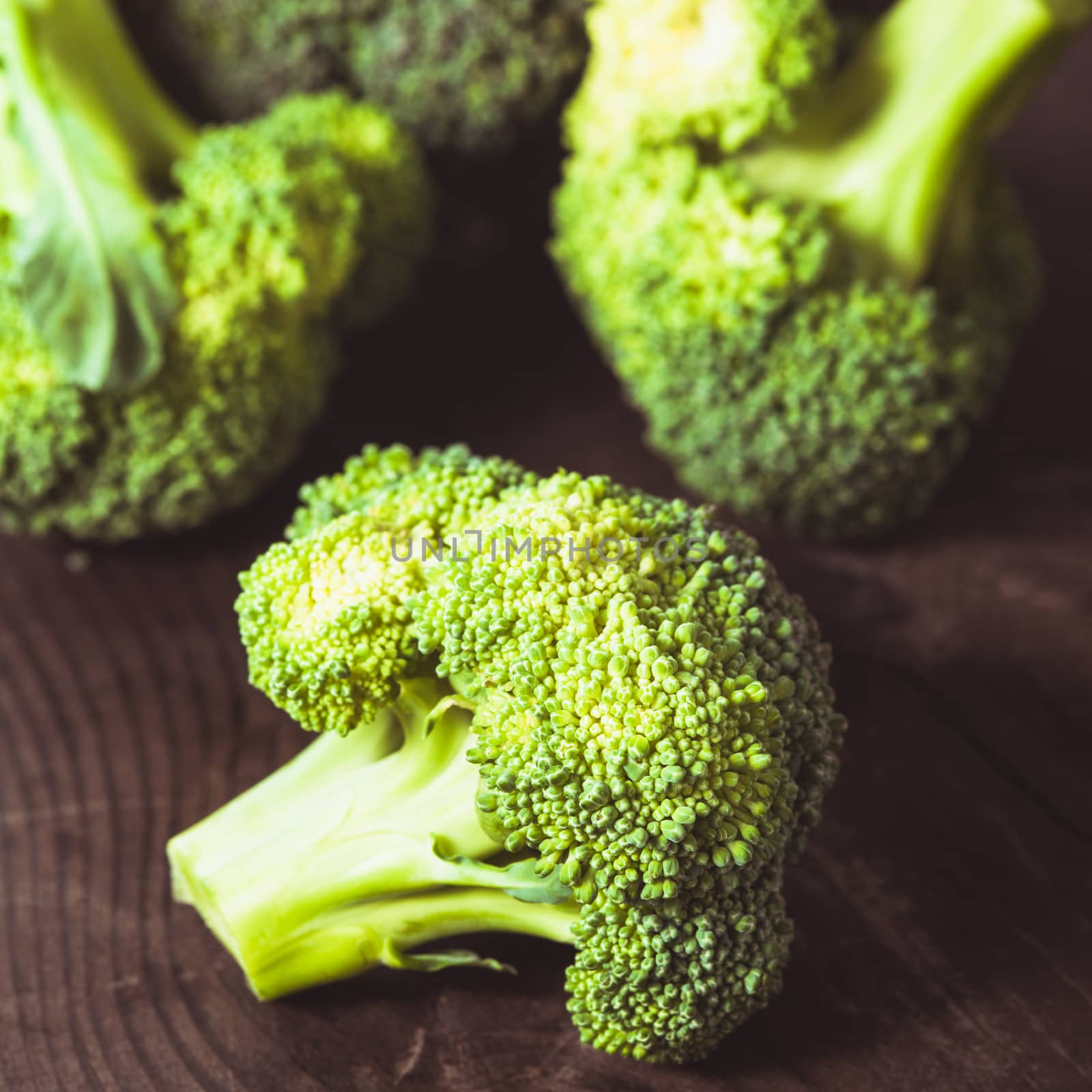 Green broccoli by oksix