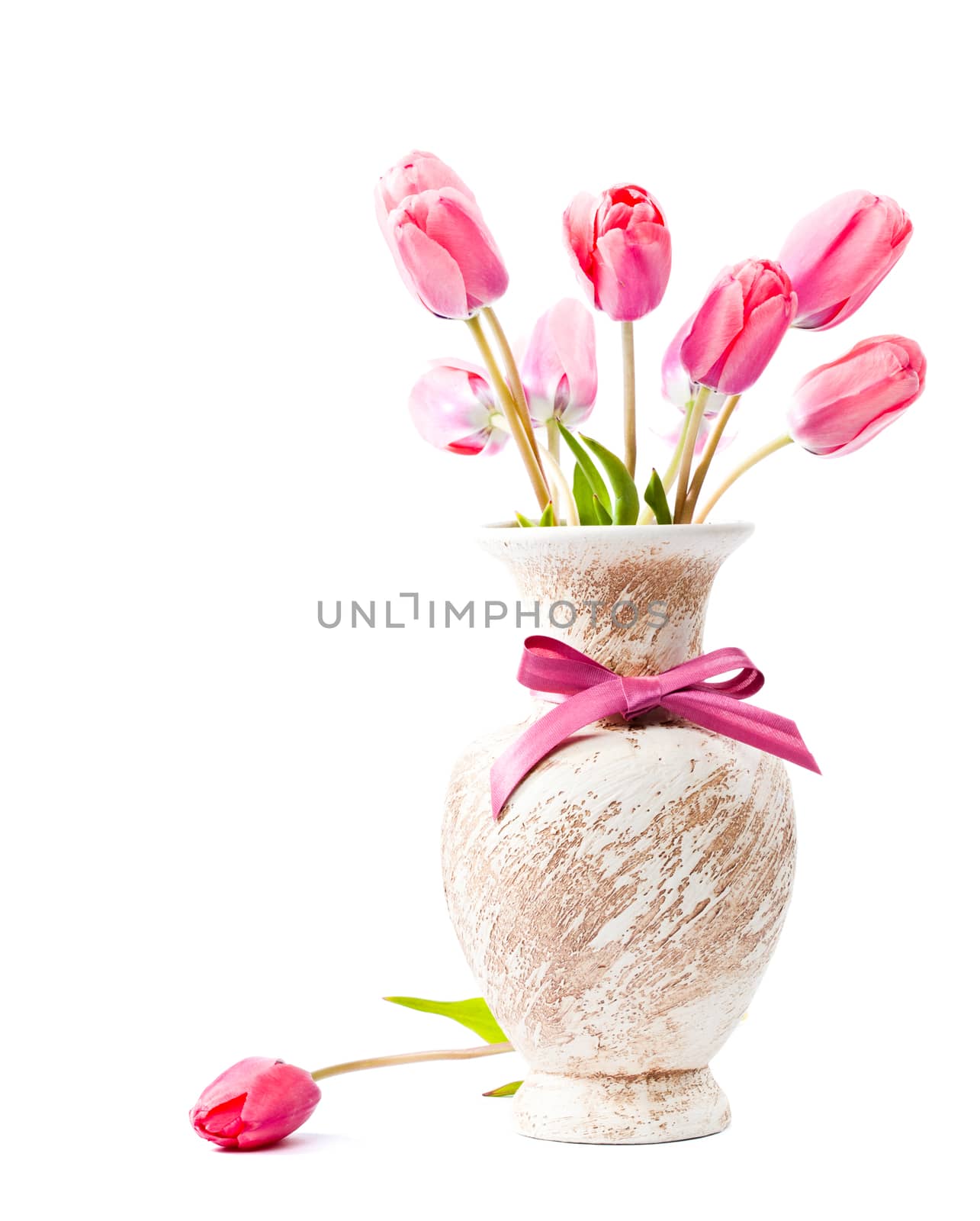 Pink tulips in vase by oksix