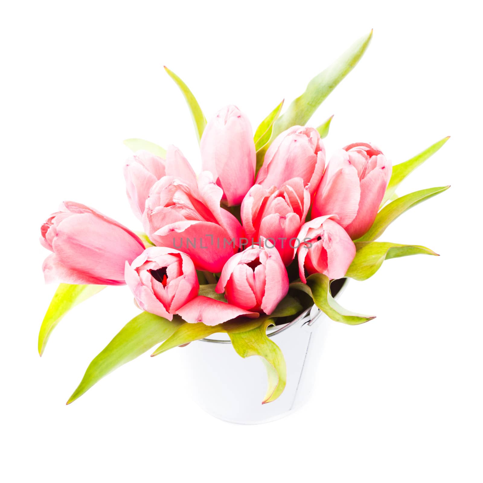 Pink tulips in decorative bucket closeup