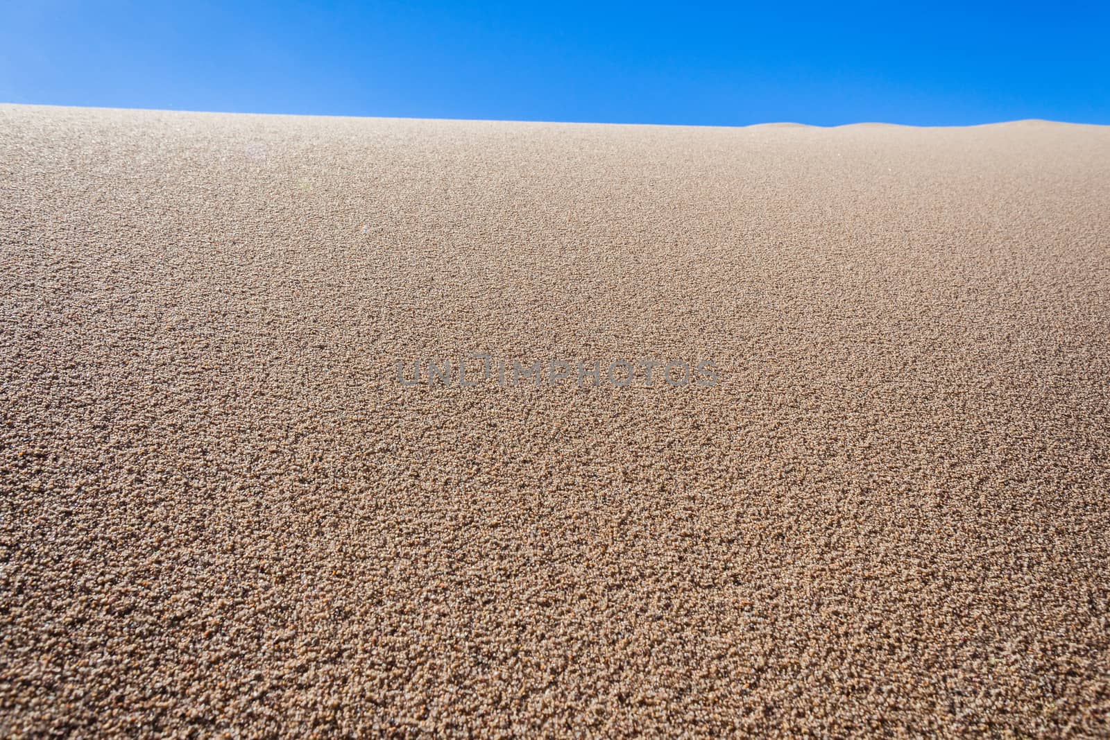 Close photo detail of beach sand grains blown by winds on the ocean coastline.