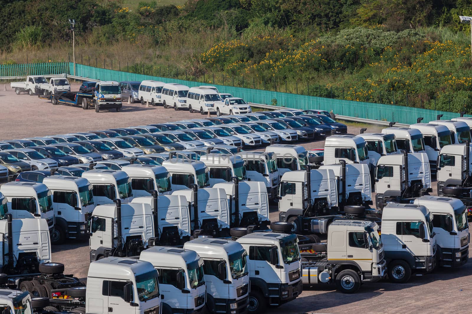 New manufactured trucks lined up in vehicle yard for distribution to customers.