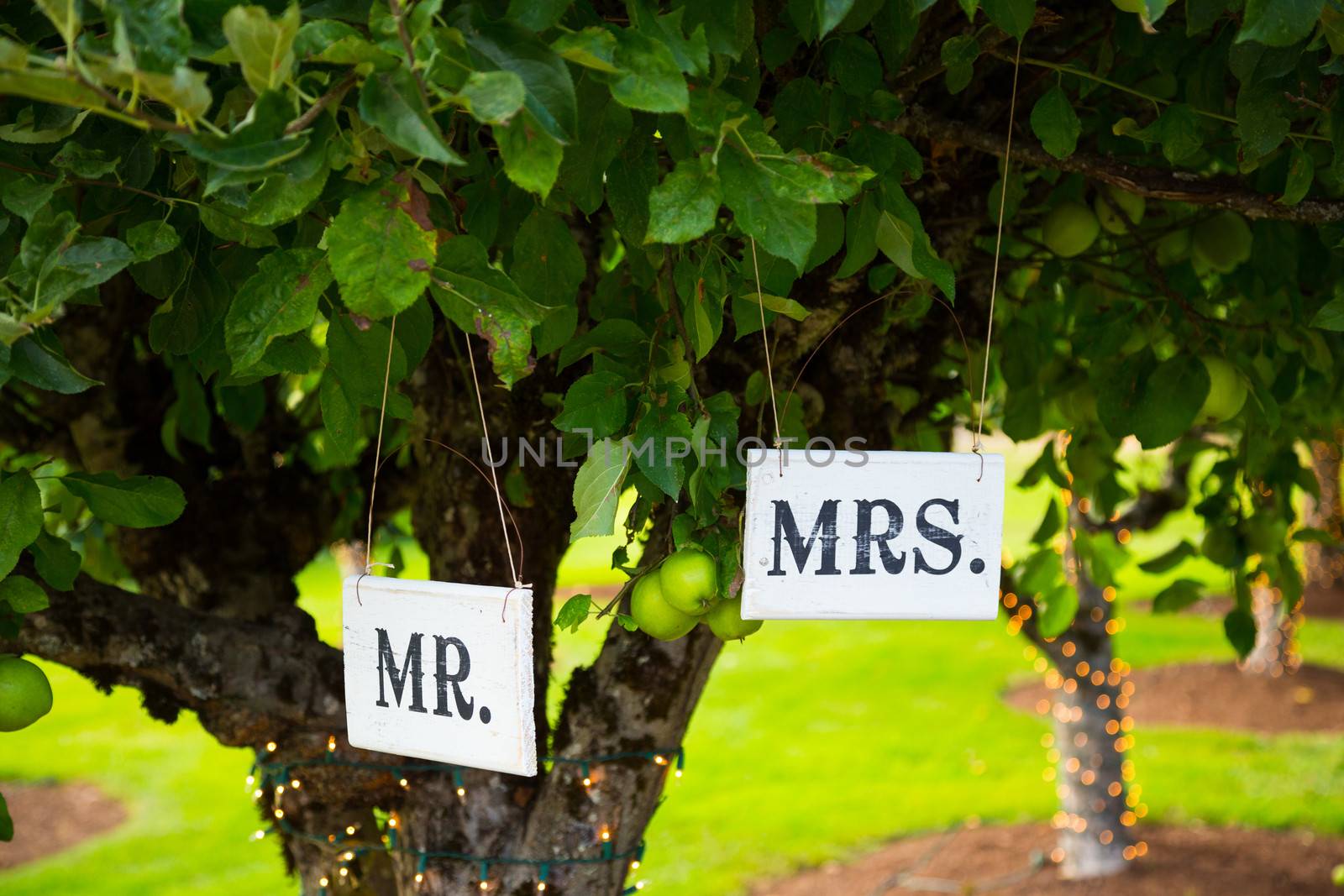 Signs read Mr and Mrs or Mr. and Mrs. at a wedding reception above the bride and groom table.