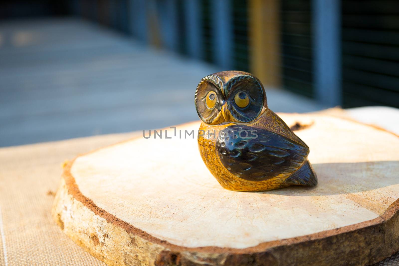 Decorations at this wedding include wooden carved owls as centerpieces for the tables.