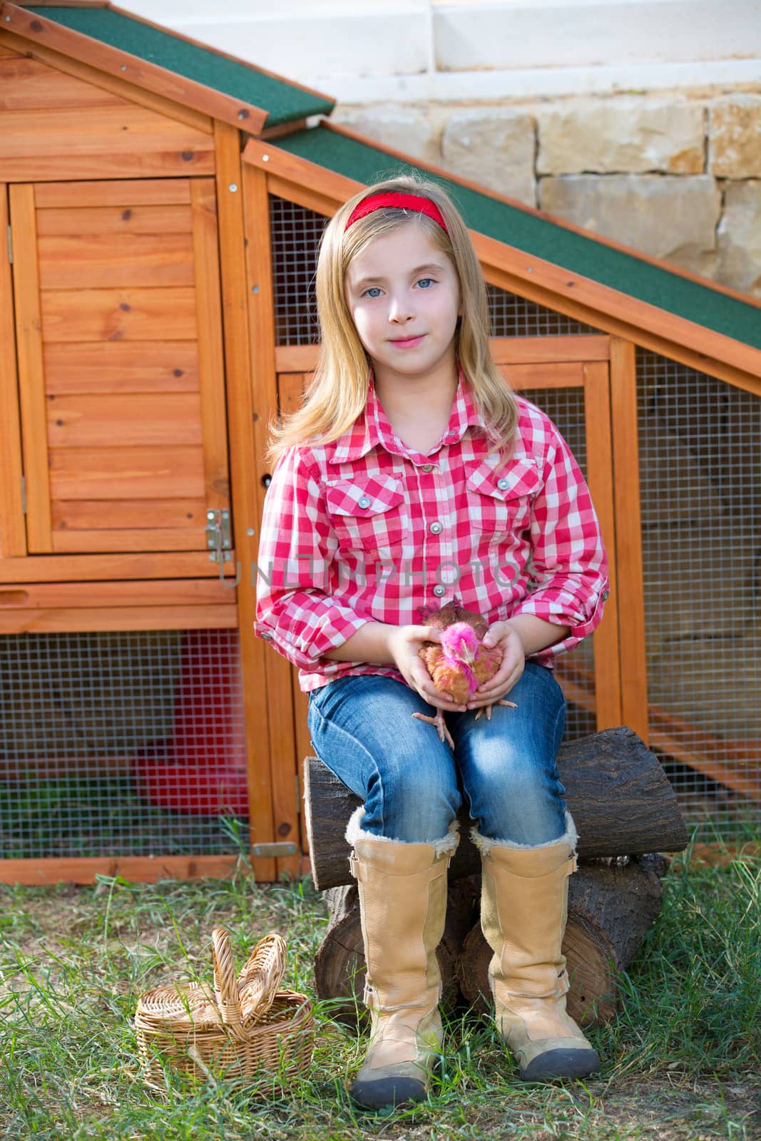 breeder hens kid girl rancher blond farmer playing with chicks in chicken tractor coop