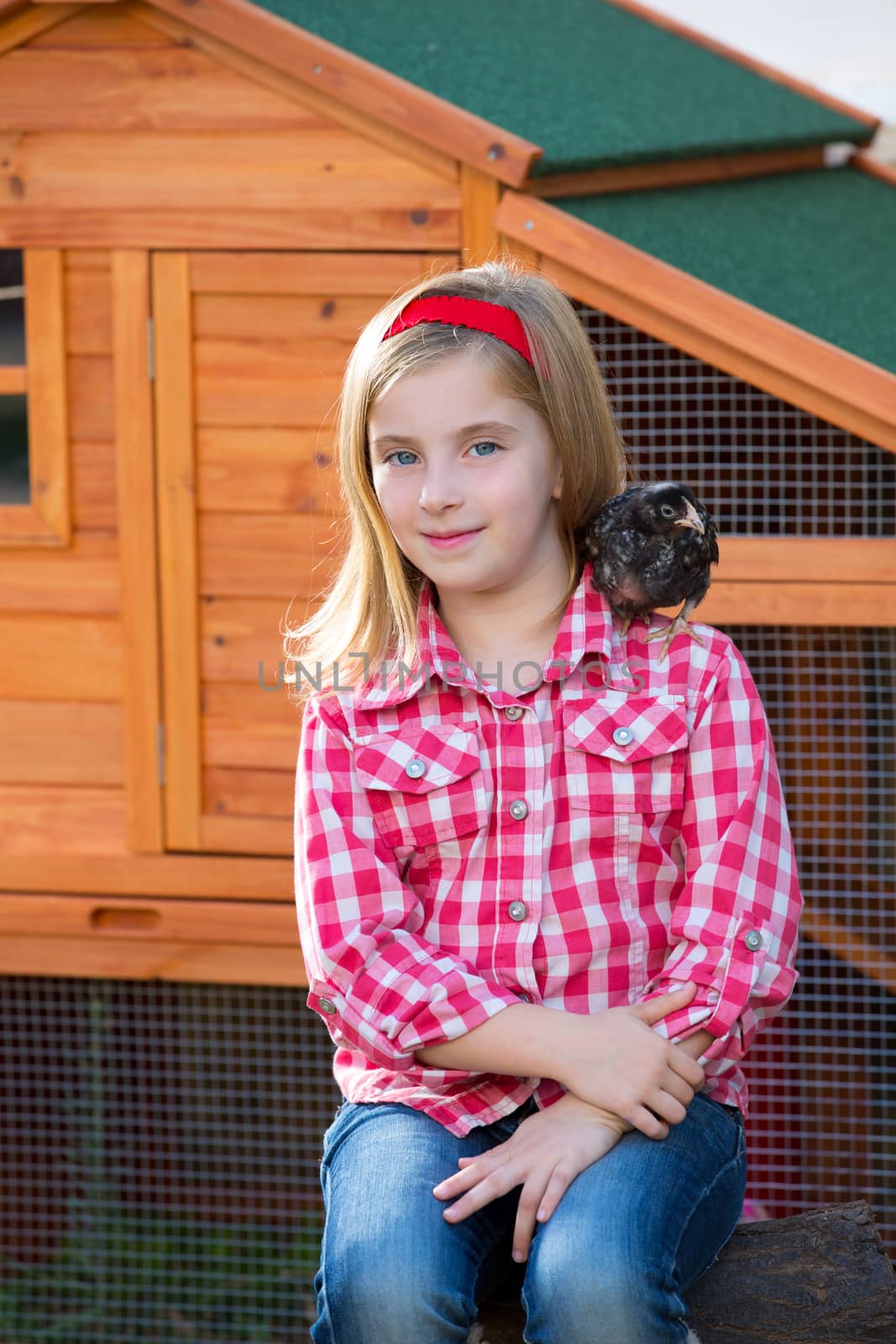 breeder hens kid girl rancher blond farmer playing with chicks in chicken tractor coop