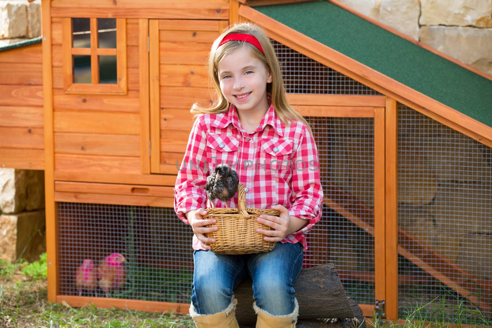 breeder hens kid girl rancher farmer with chicks in chicken coop by lunamarina