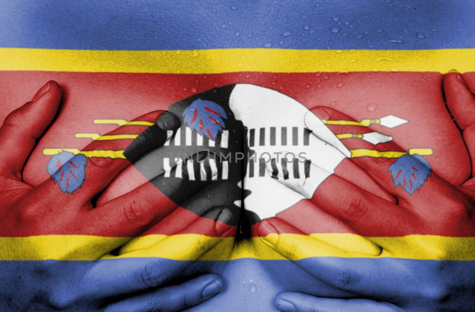 Sweaty upper part of female body, hands covering breasts, flag of Swaziland
