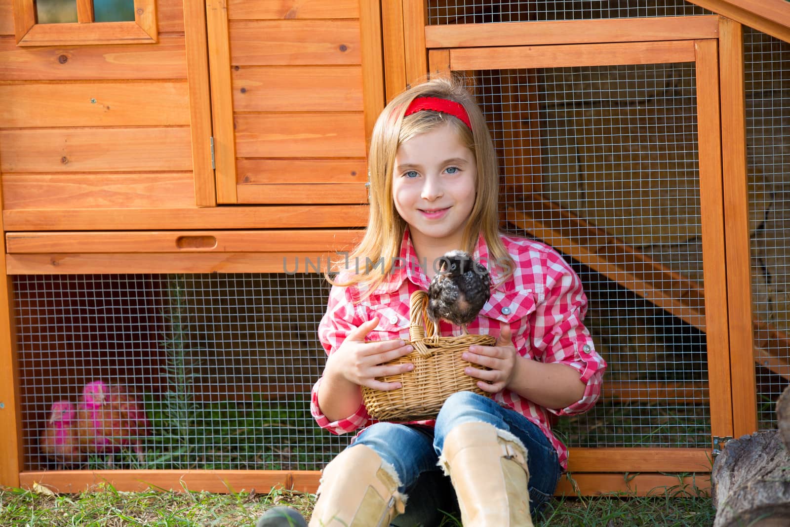 breeder hens kid girl rancher blond farmer playing with chicks in chicken hencoop