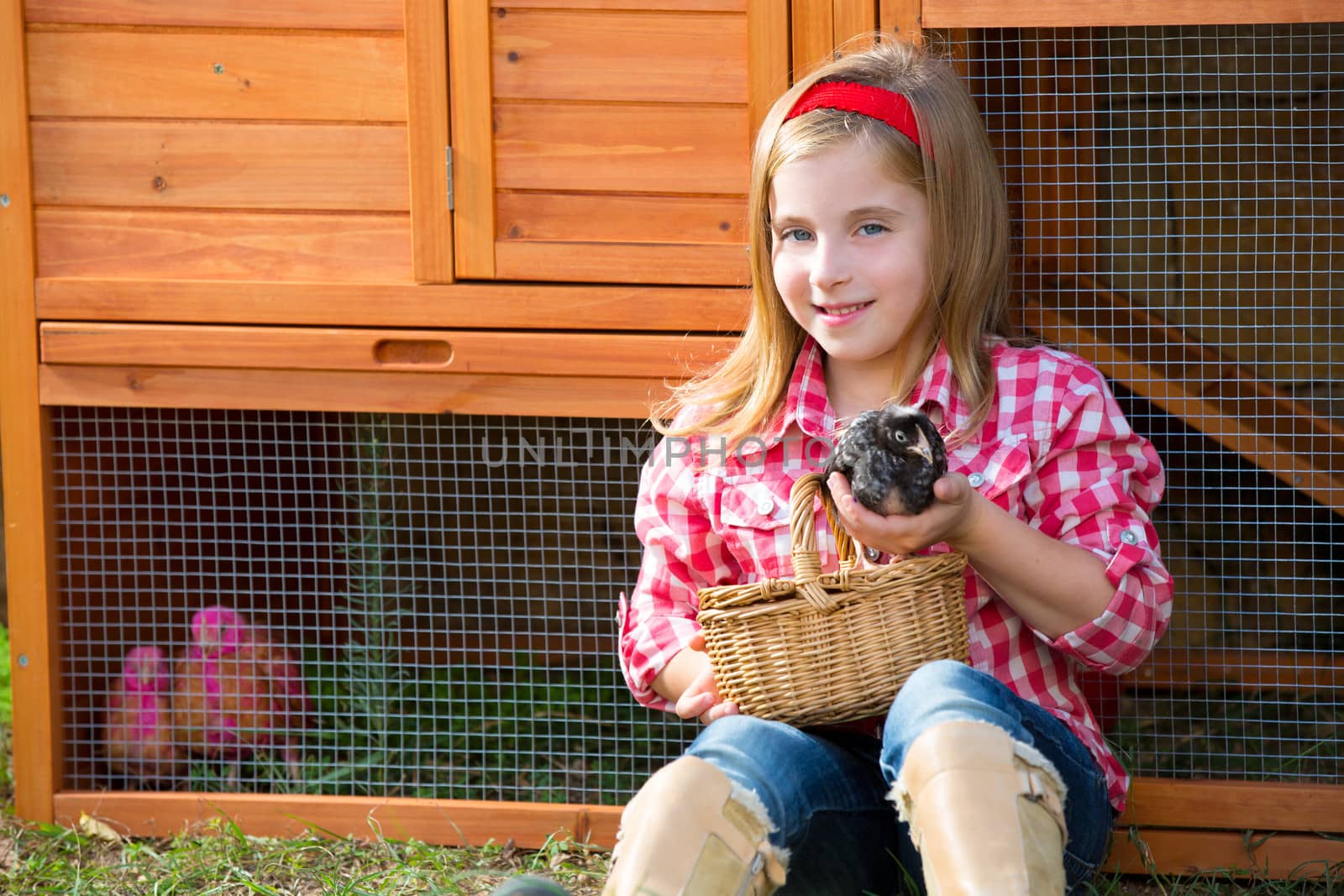 breeder hens kid girl rancher blond farmer playing with chicks in chicken hencoop