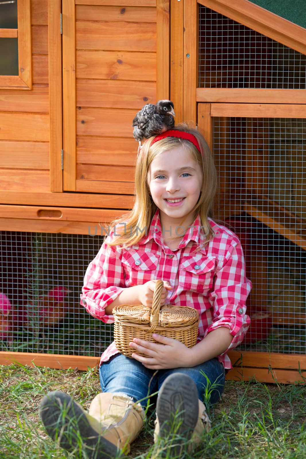 breeder hens kid girl rancher blond farmer playing with chicks in chicken tractor coop