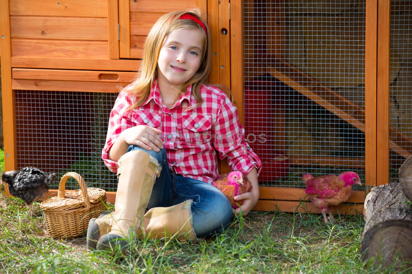 breeder hens kid girl rancher blond farmer playing with chicks in chicken tractor coop