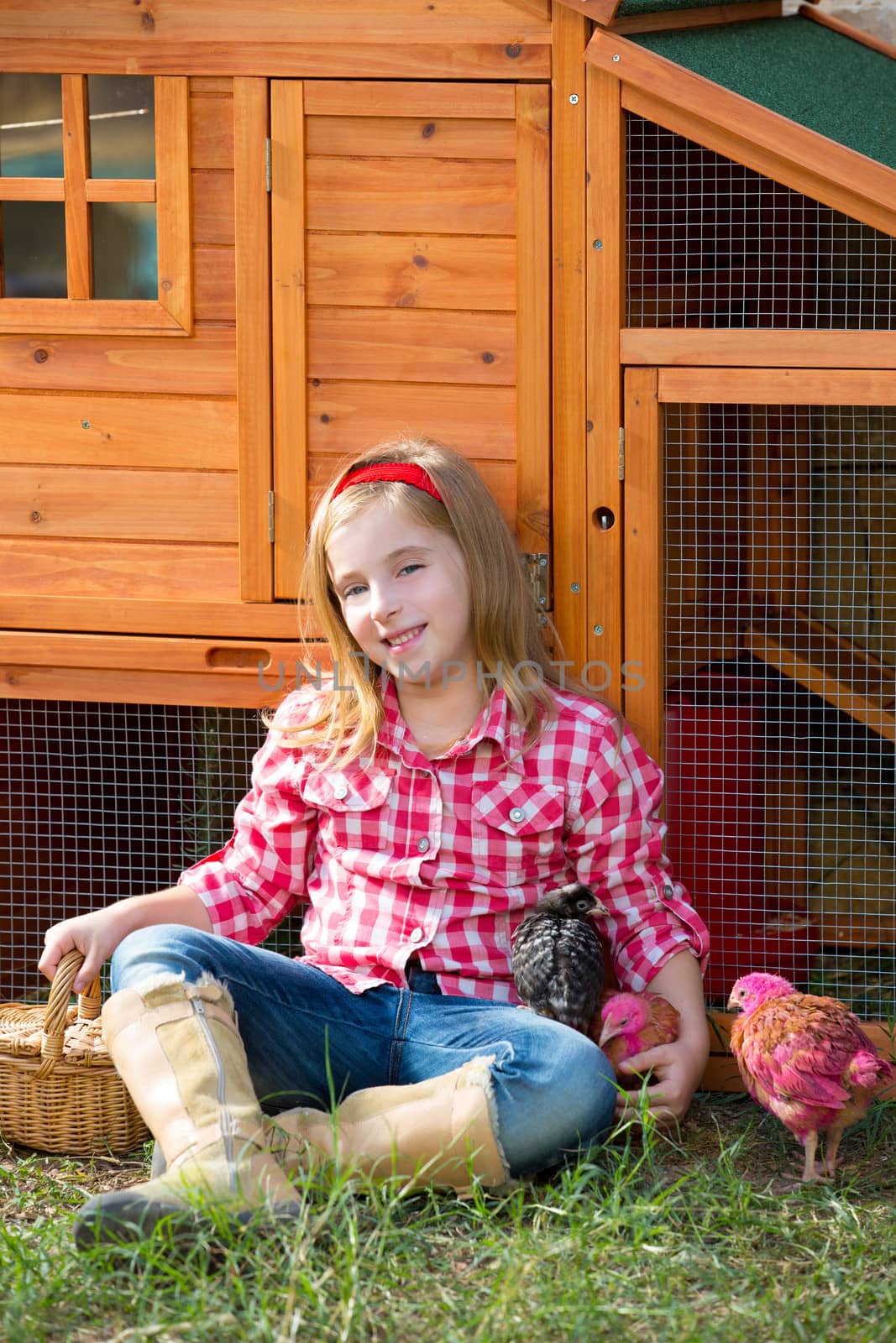 breeder hens kid girl rancher blond farmer playing with chicks in chicken tractor coop