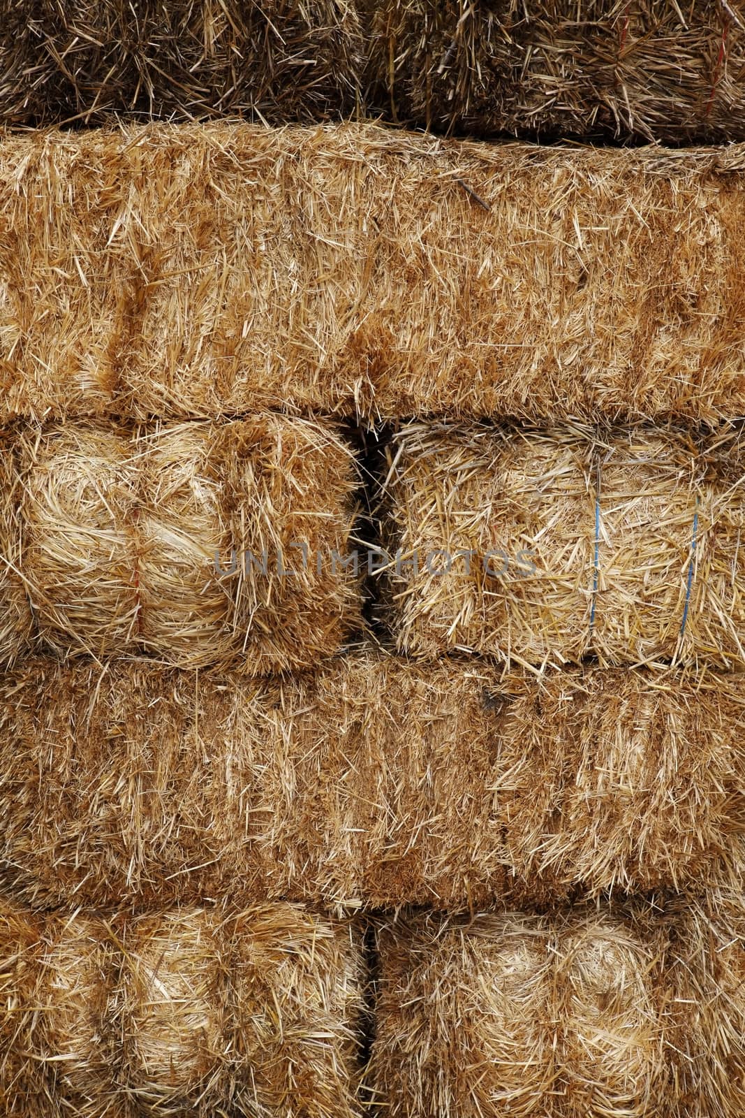 Freshly cut and baled hay. Usefull as background