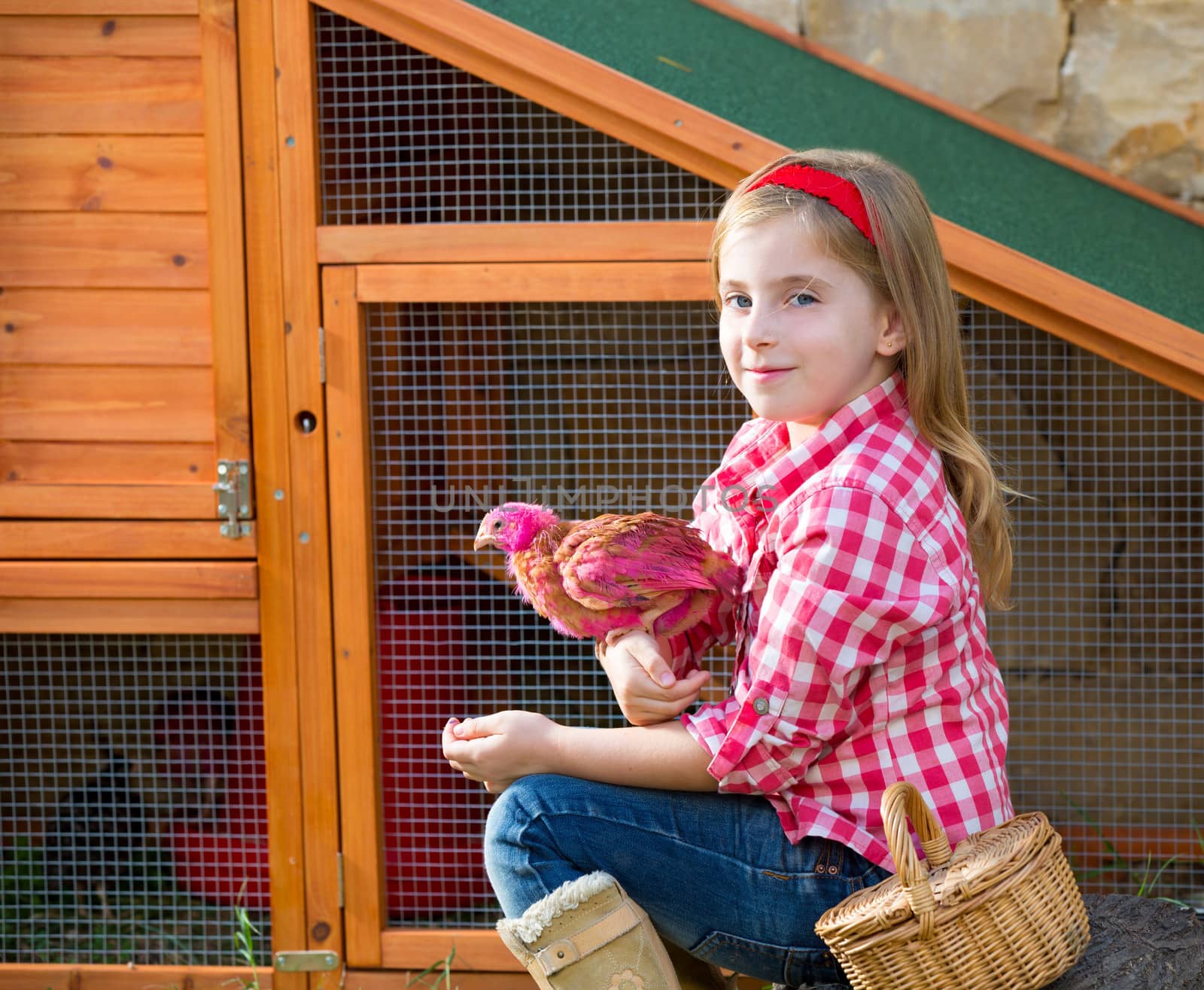 breeder hens kid girl rancher farmer with chicks in chicken coop by lunamarina