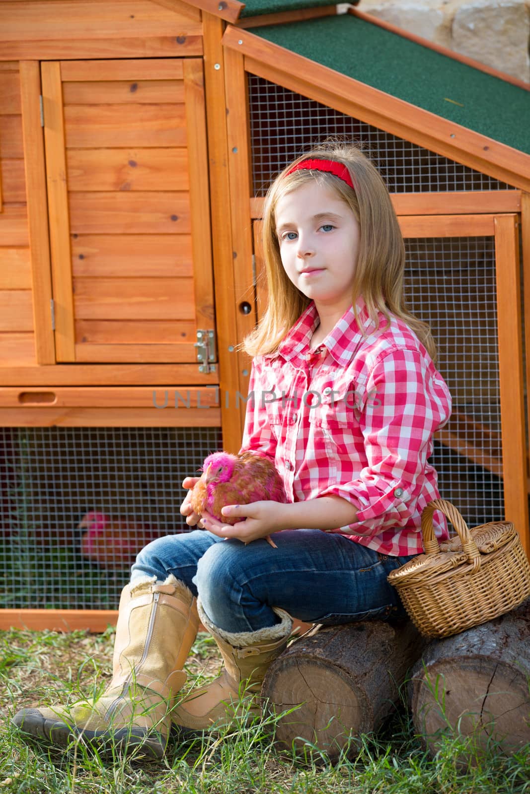 breeder hens kid girl rancher blond farmer playing with chicks in chicken tractor coop