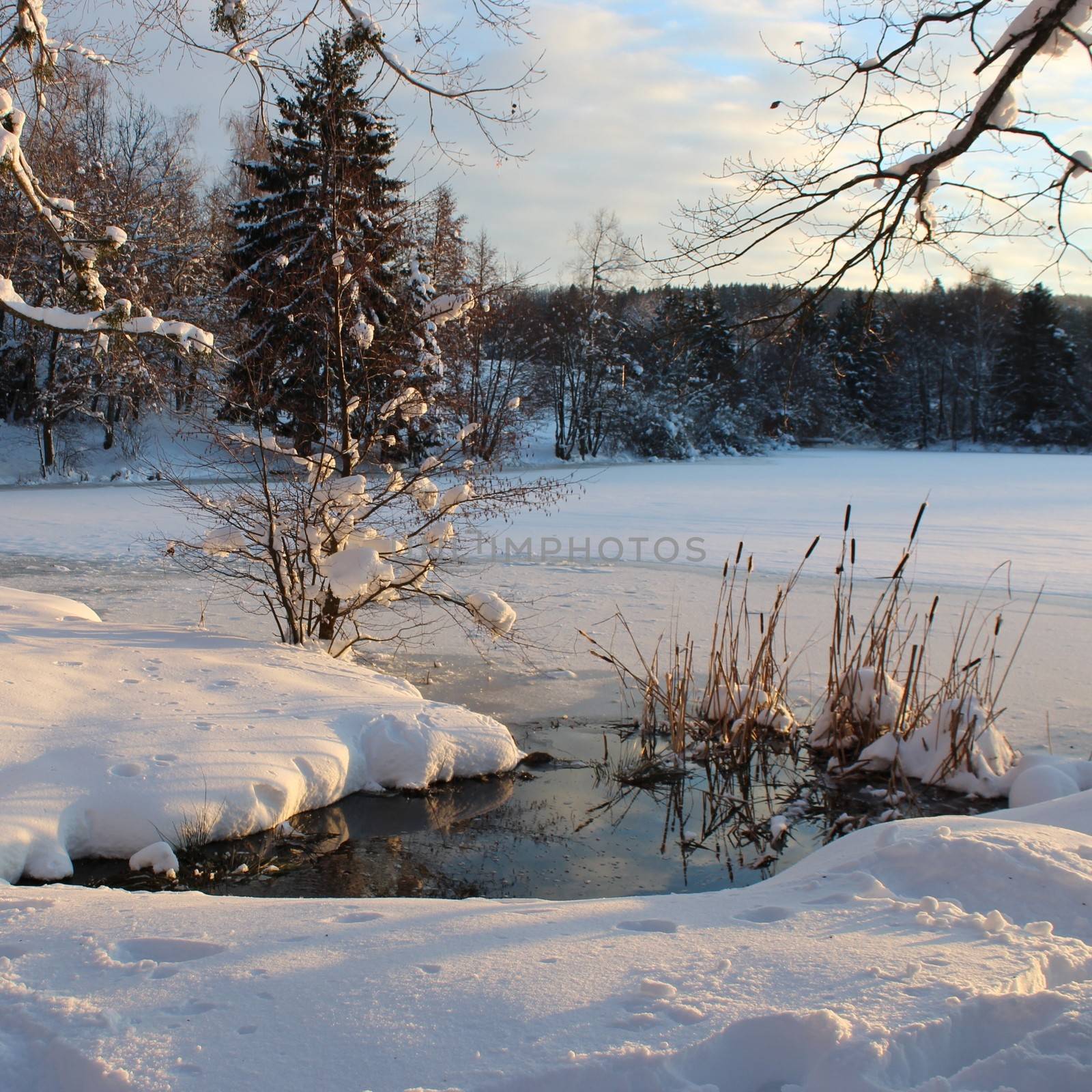 frozen lake in France at sunny day, with snow ...