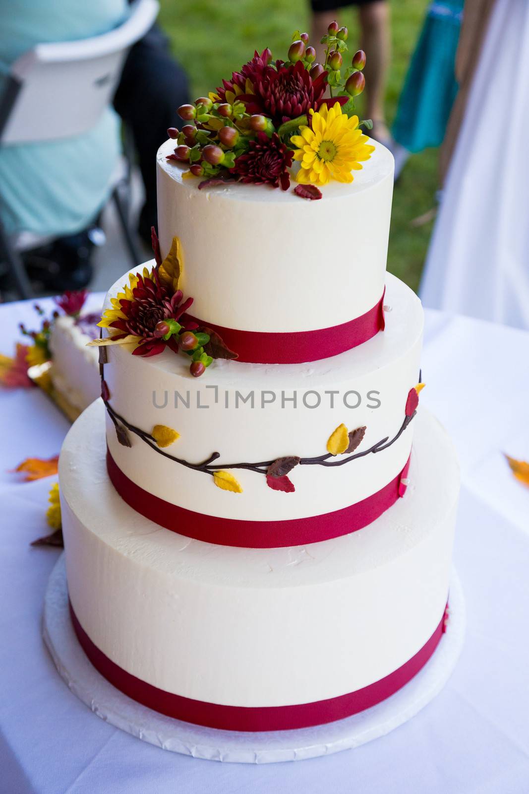 Wedding Cake Detail by joshuaraineyphotography