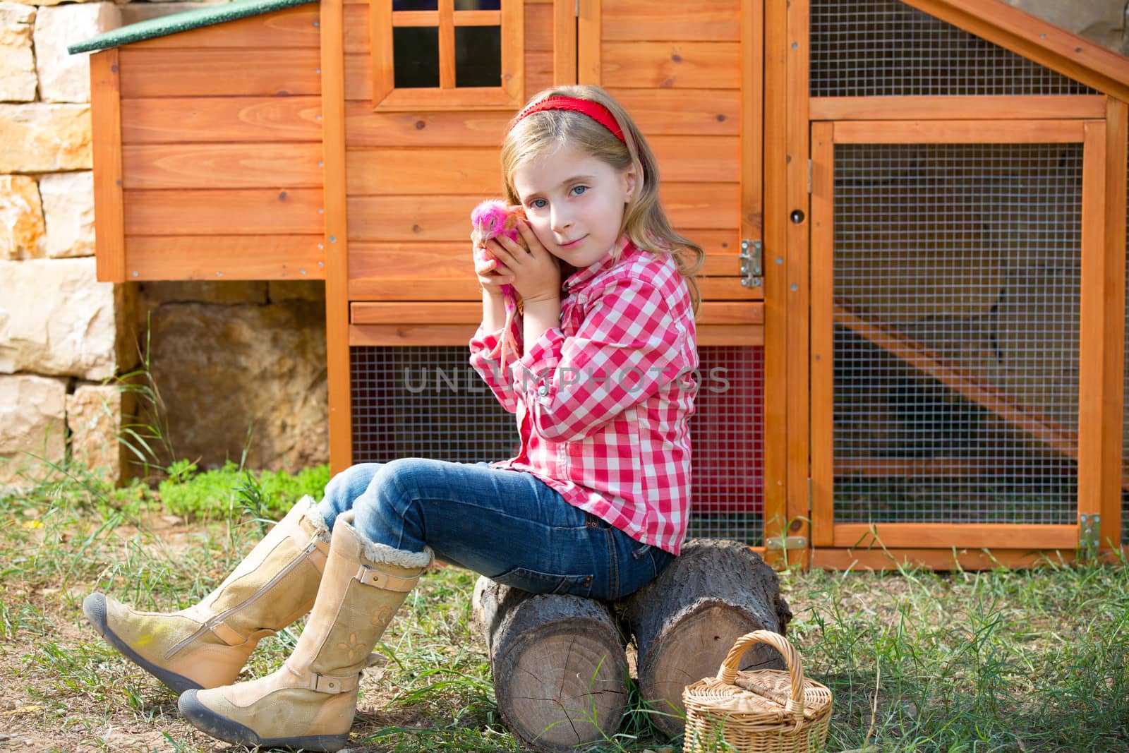 breeder hens kid girl rancher blond farmer playing with chicks in chicken tractor coop