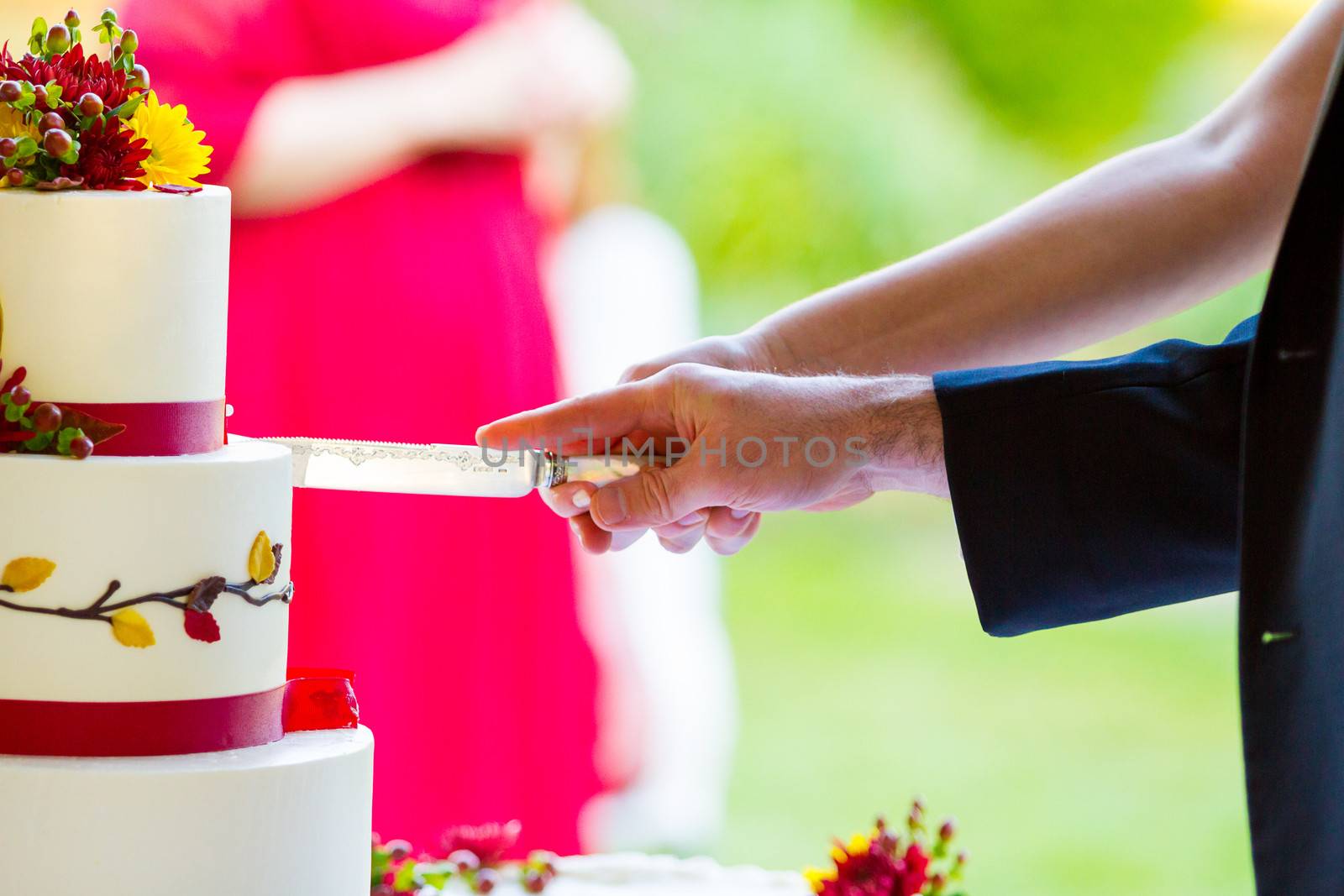 A bride and groom cut the cake together at their wedding reception.