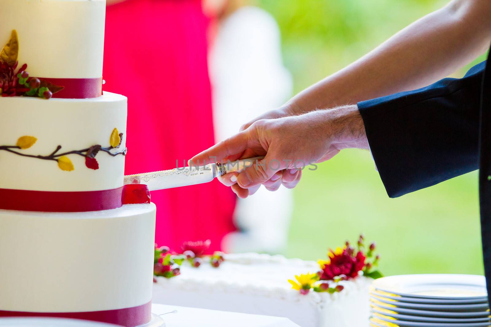 A bride and groom cut the cake together at their wedding reception.